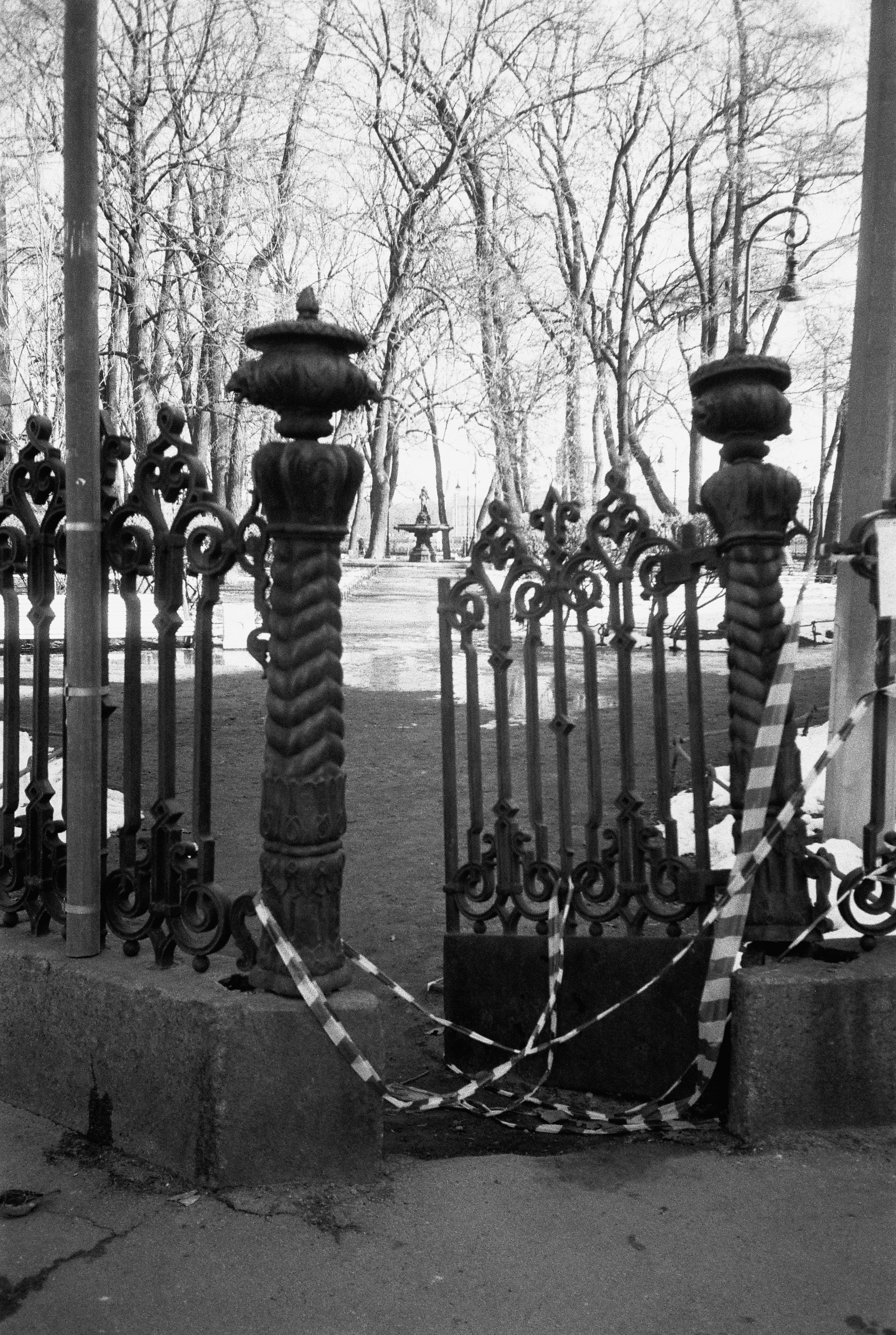 Фотографии черно-белые. Свадебный и семейный пленочный фотограф в Петербурге Истомина Ирина