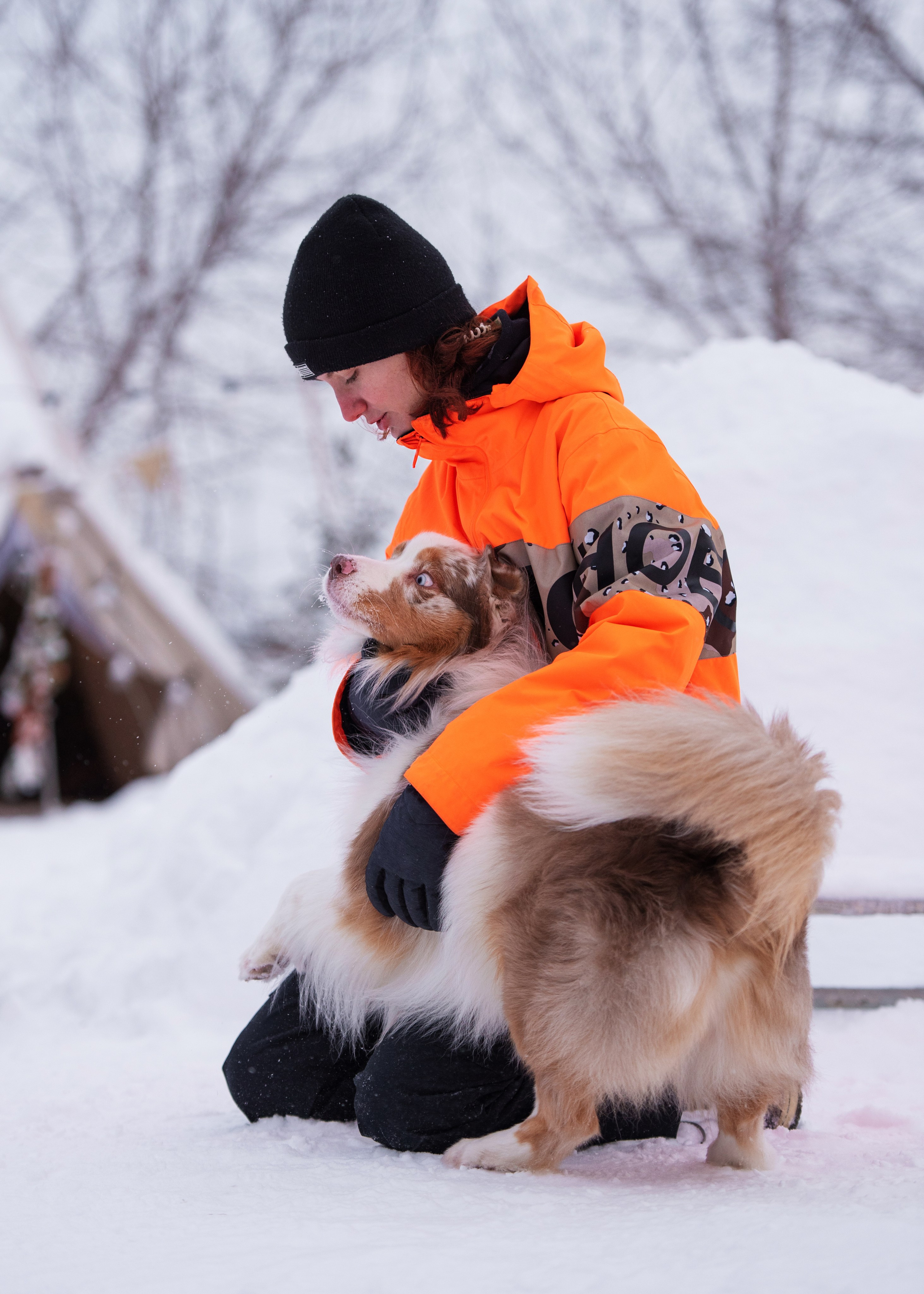 Аусси и его семья. Дог-фотограф в Тюмени Александра Королева