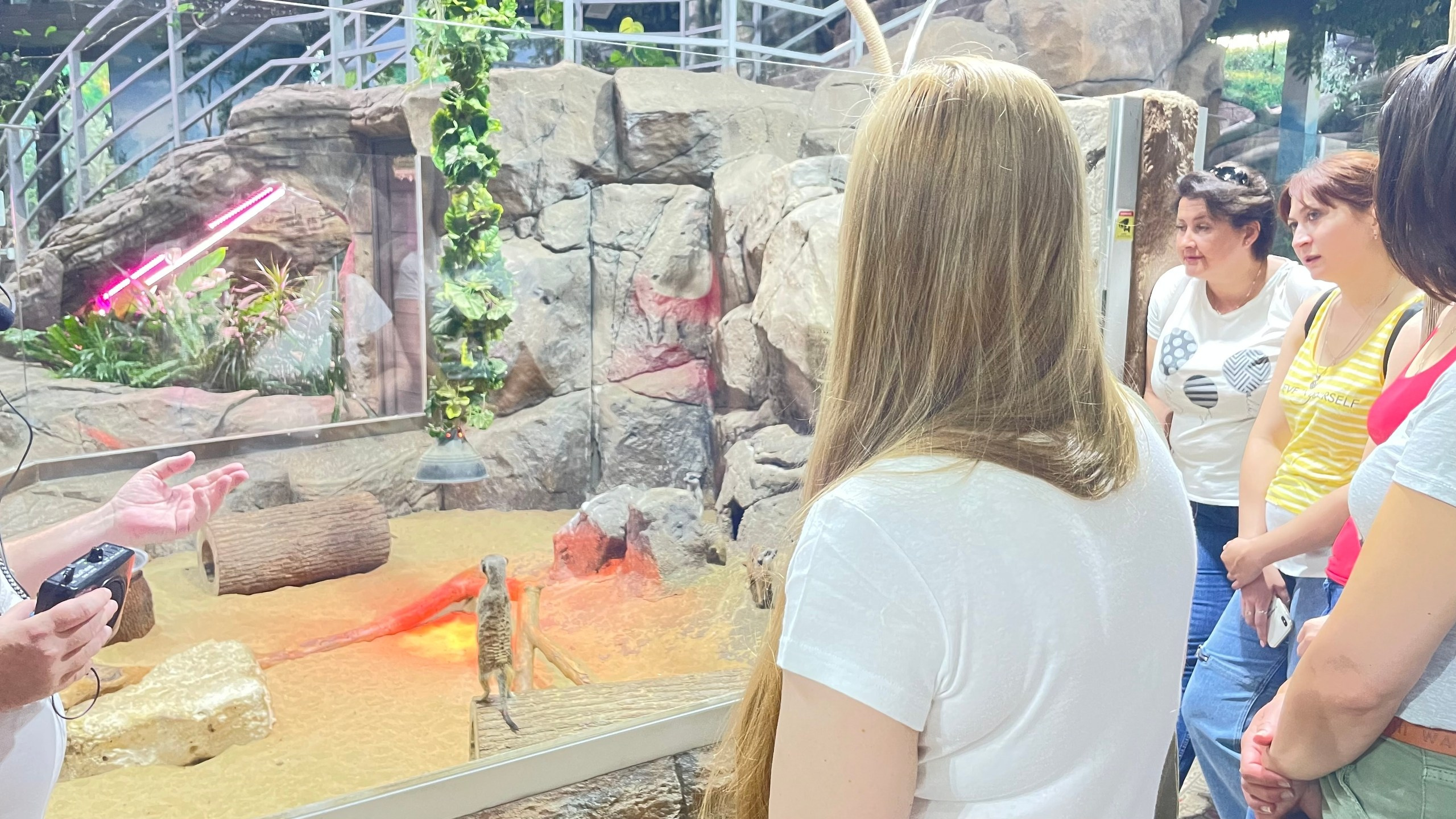 Тула | 19-20.08.2023. Галерея Фантим