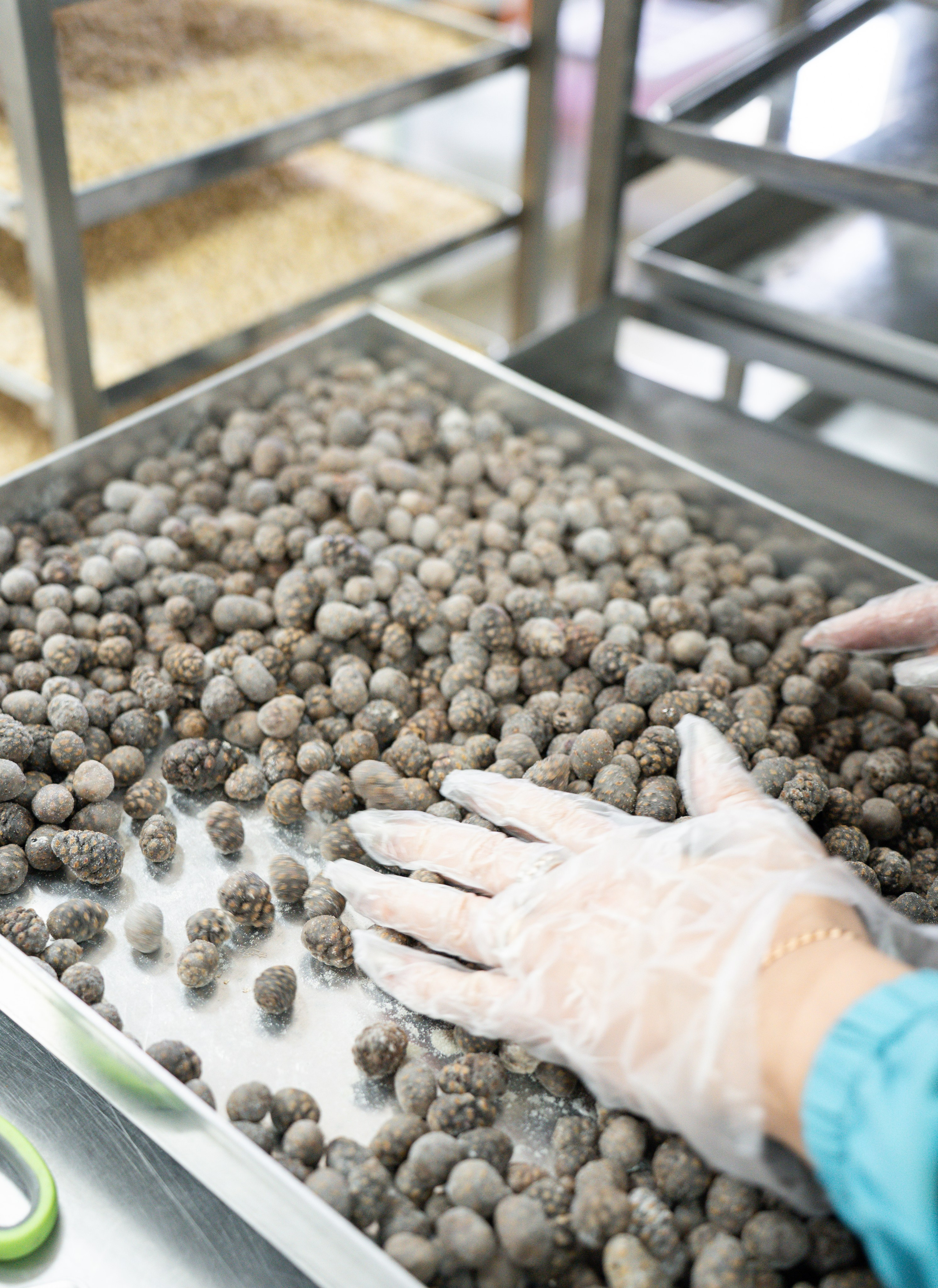 Репортажная фотосъемка экскурсий на производство. Репортажный фотограф в Москве Вадим Галанин