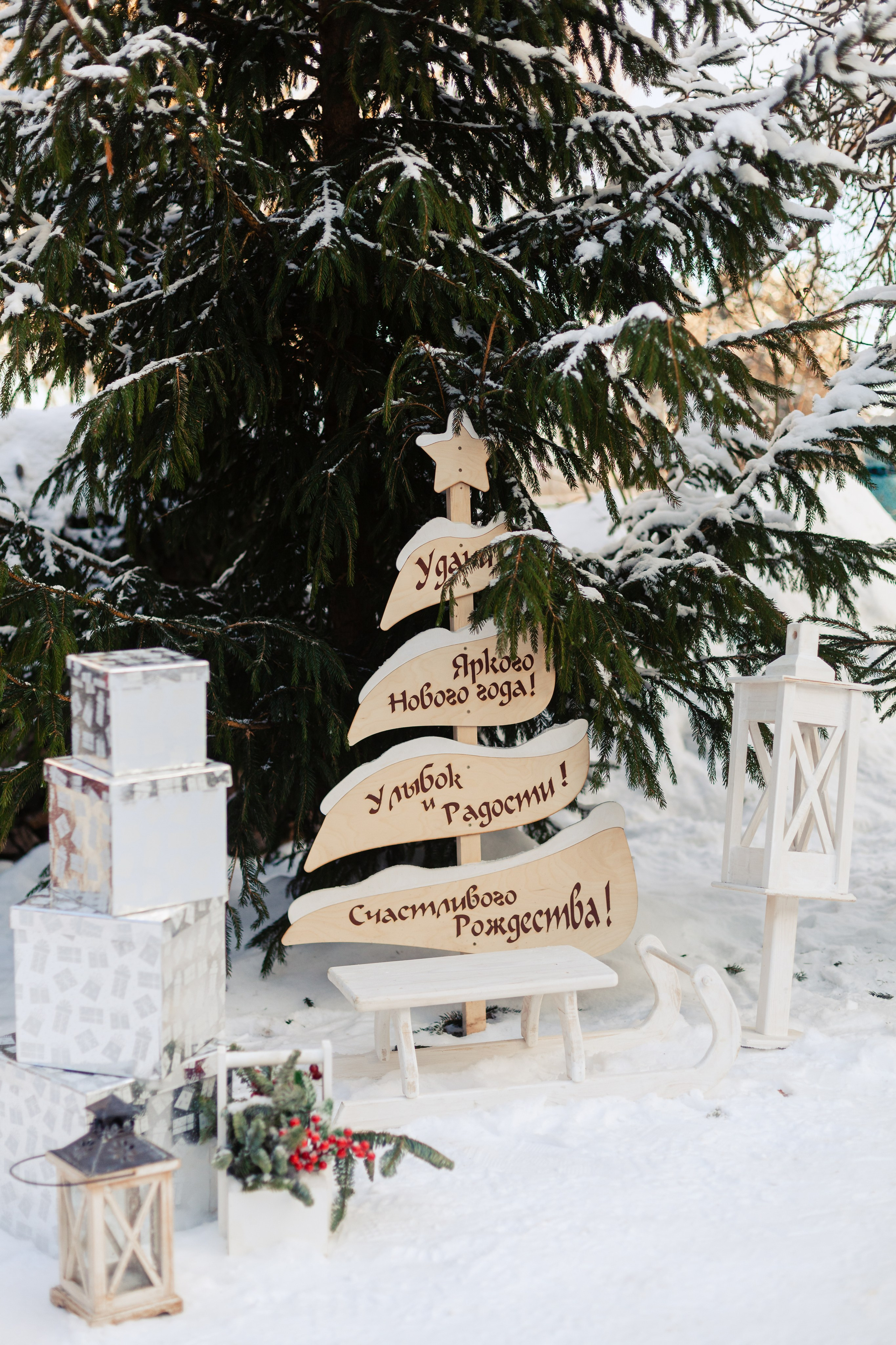 Зингер дача. Фотограф-анималист Татьяна Степанова