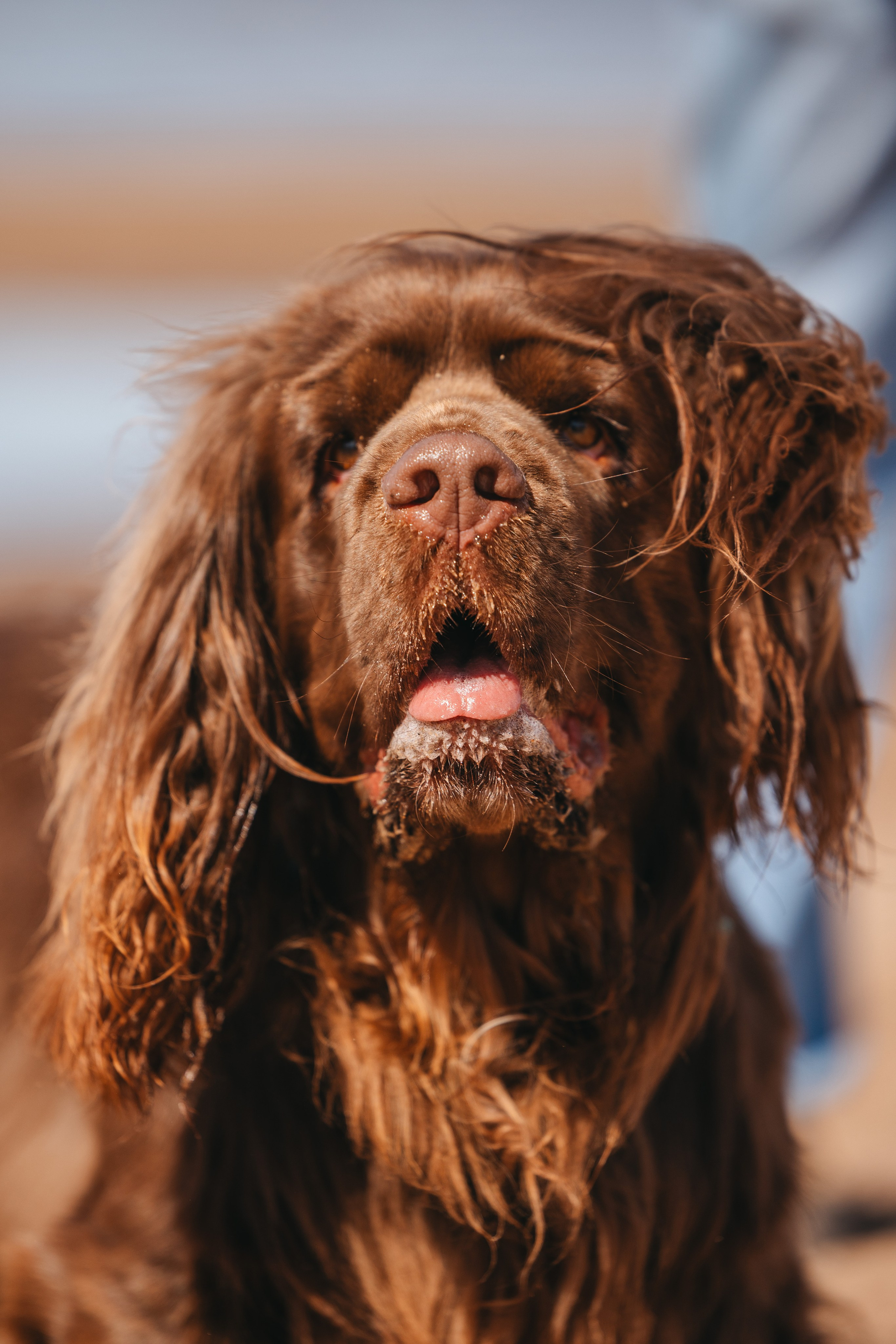 Спанимания. Фотограф анималист Осипчикова Мария