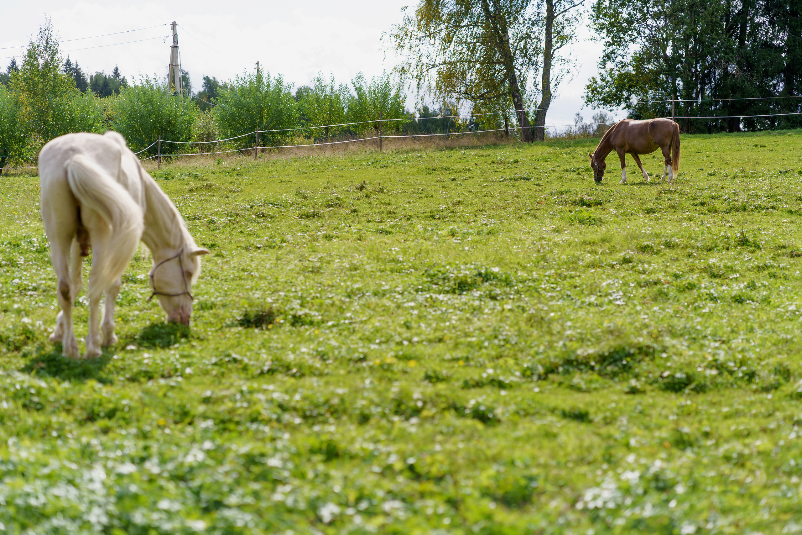 У Маши. Снимаю жизнь ❤