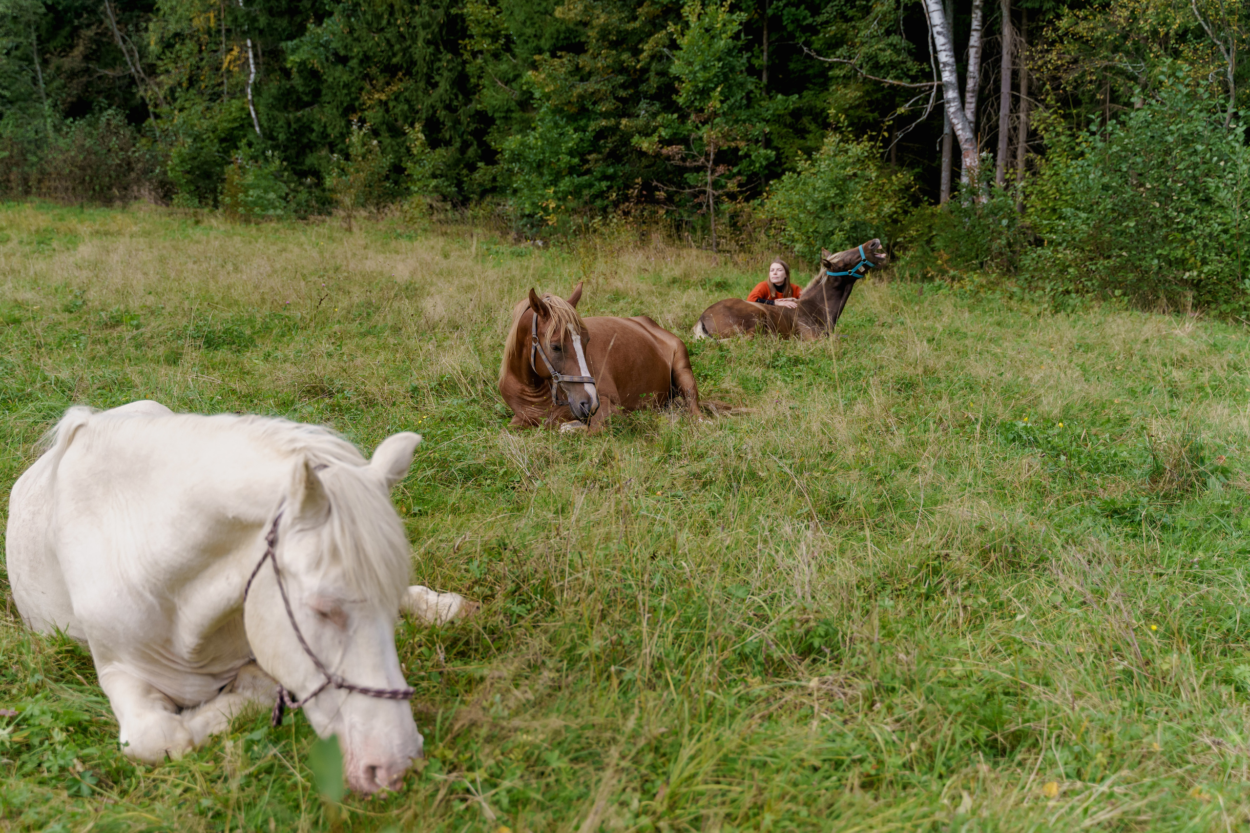 У Маши. Снимаю жизнь ❤