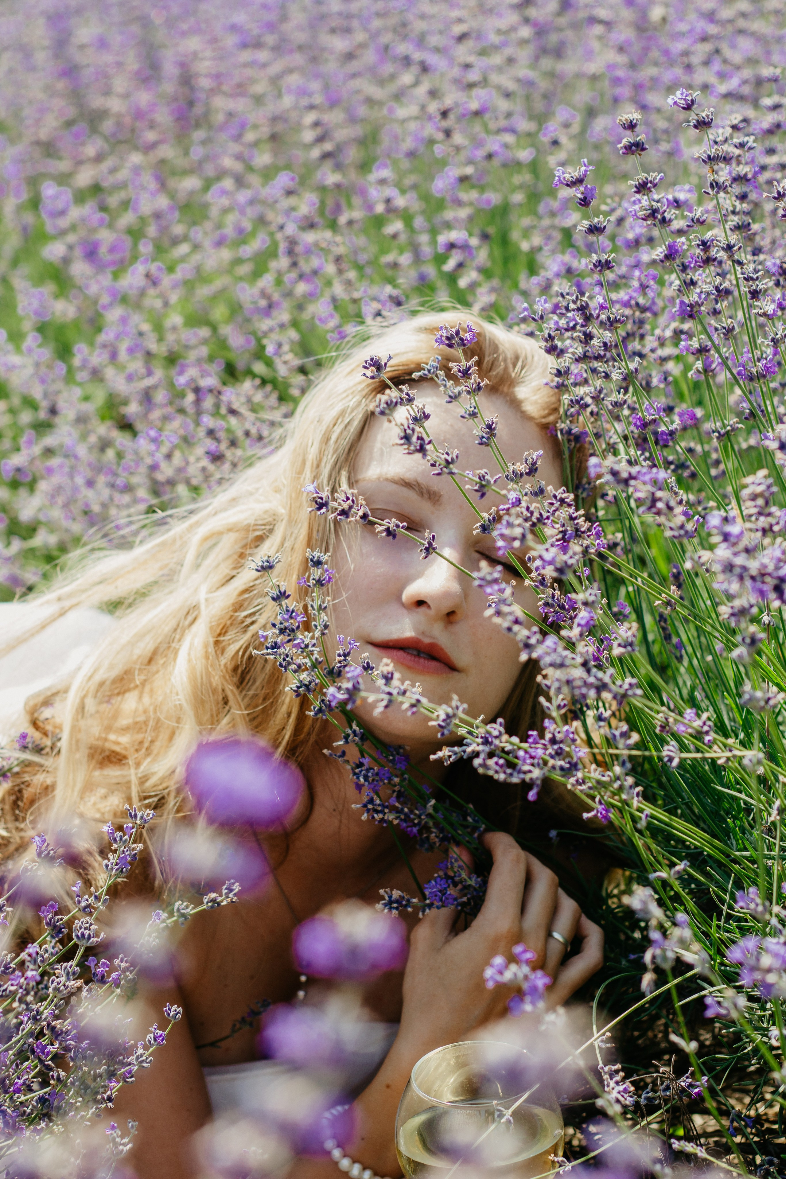 Лаванда. Главная