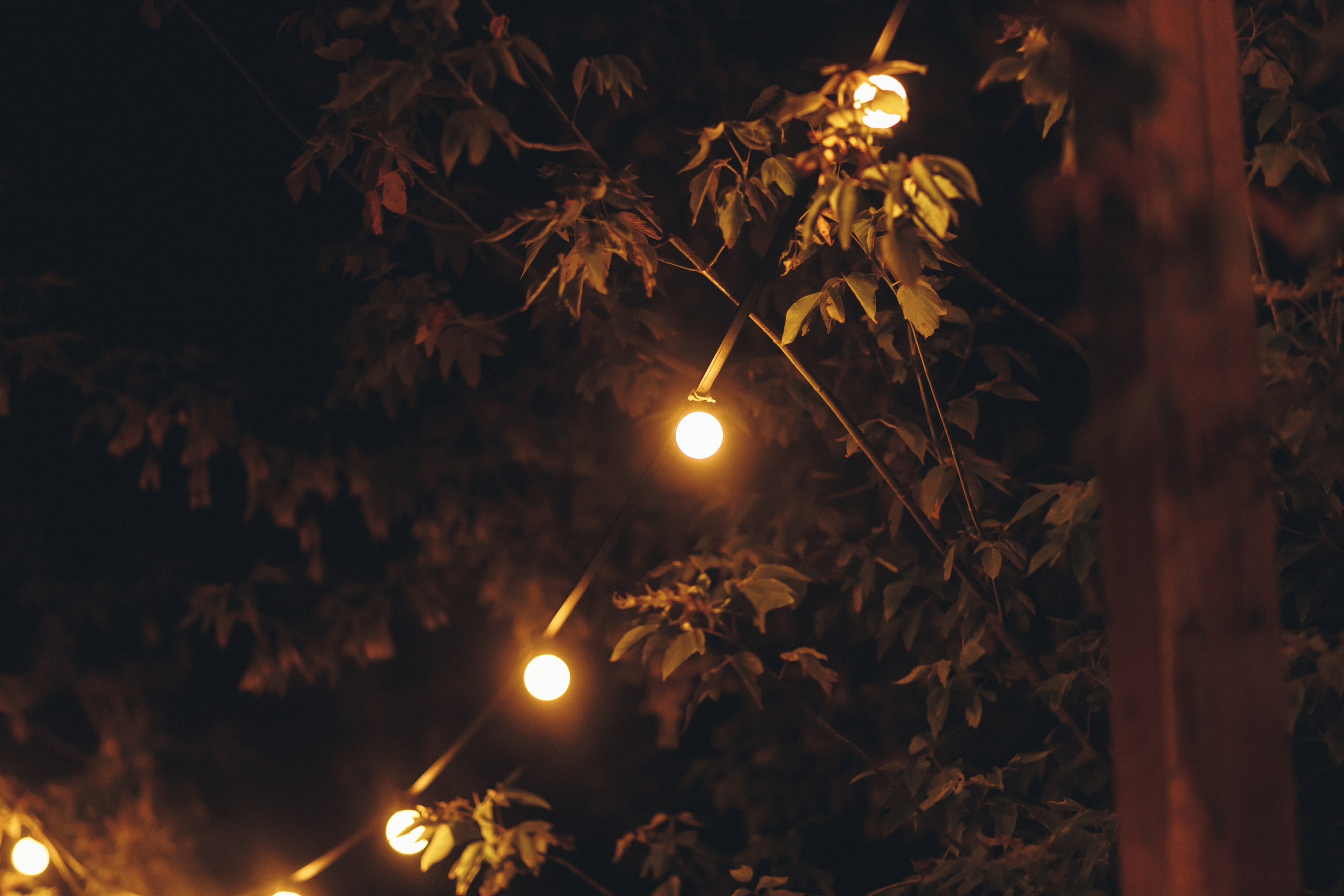 Даша и Андрей. Фотограф Дубровская Виктория