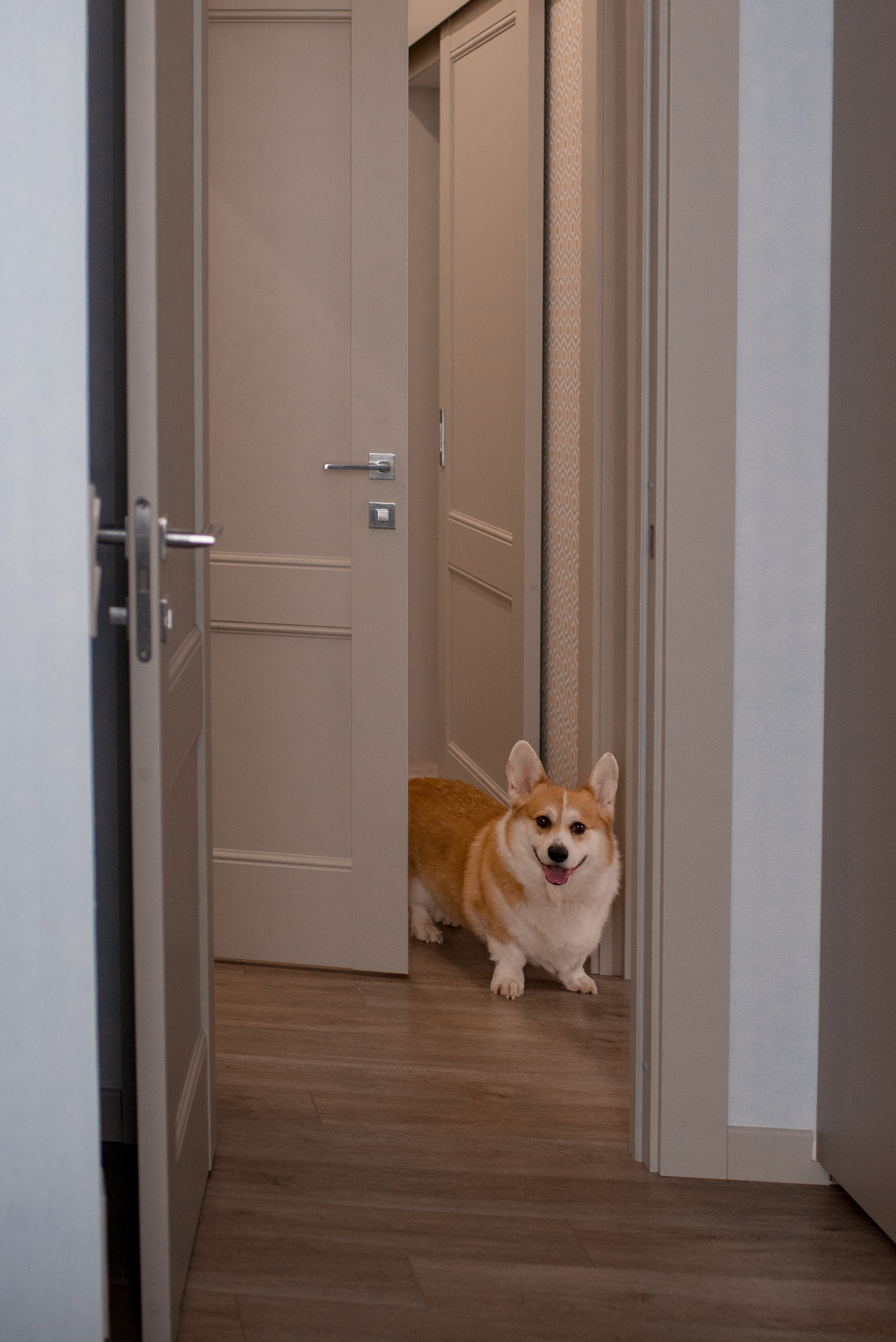 Семья Екатерины. Семейный и женский фотограф в Москве Кубасова Маша