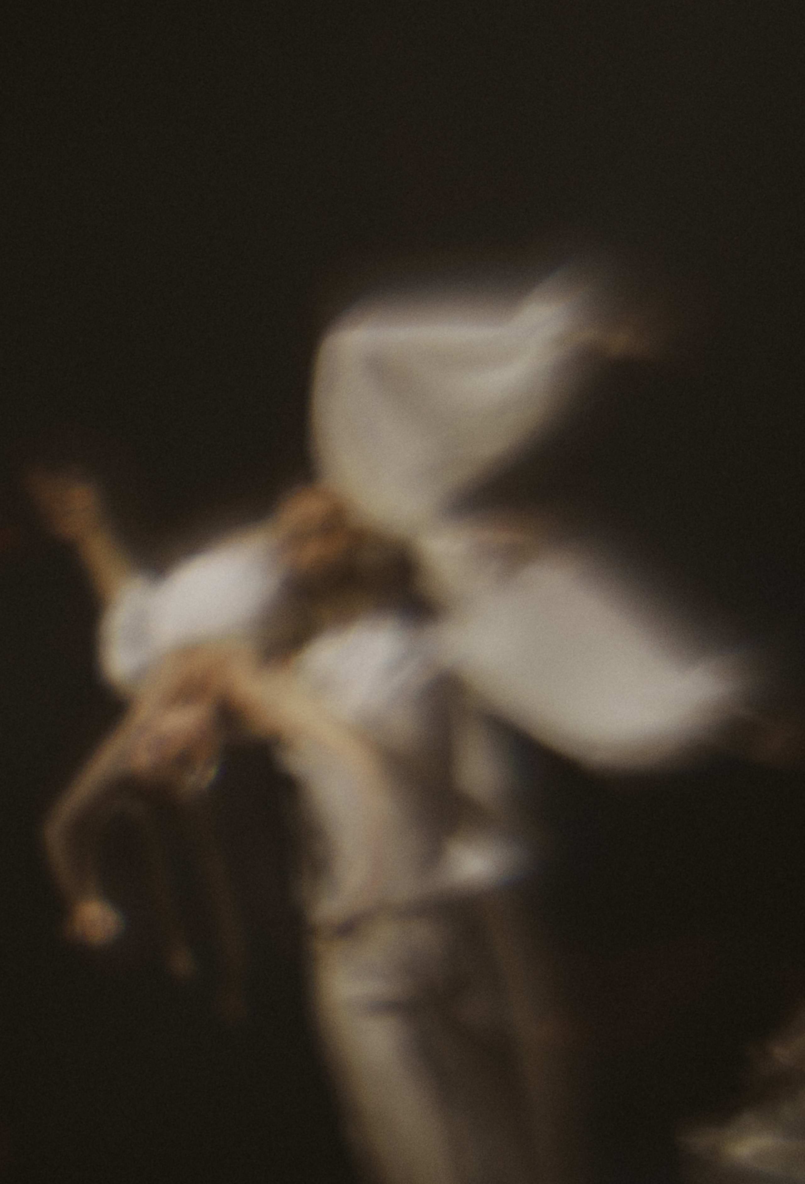 Rara Avis Fashion Show 2026. Fusion Wedding Photographer