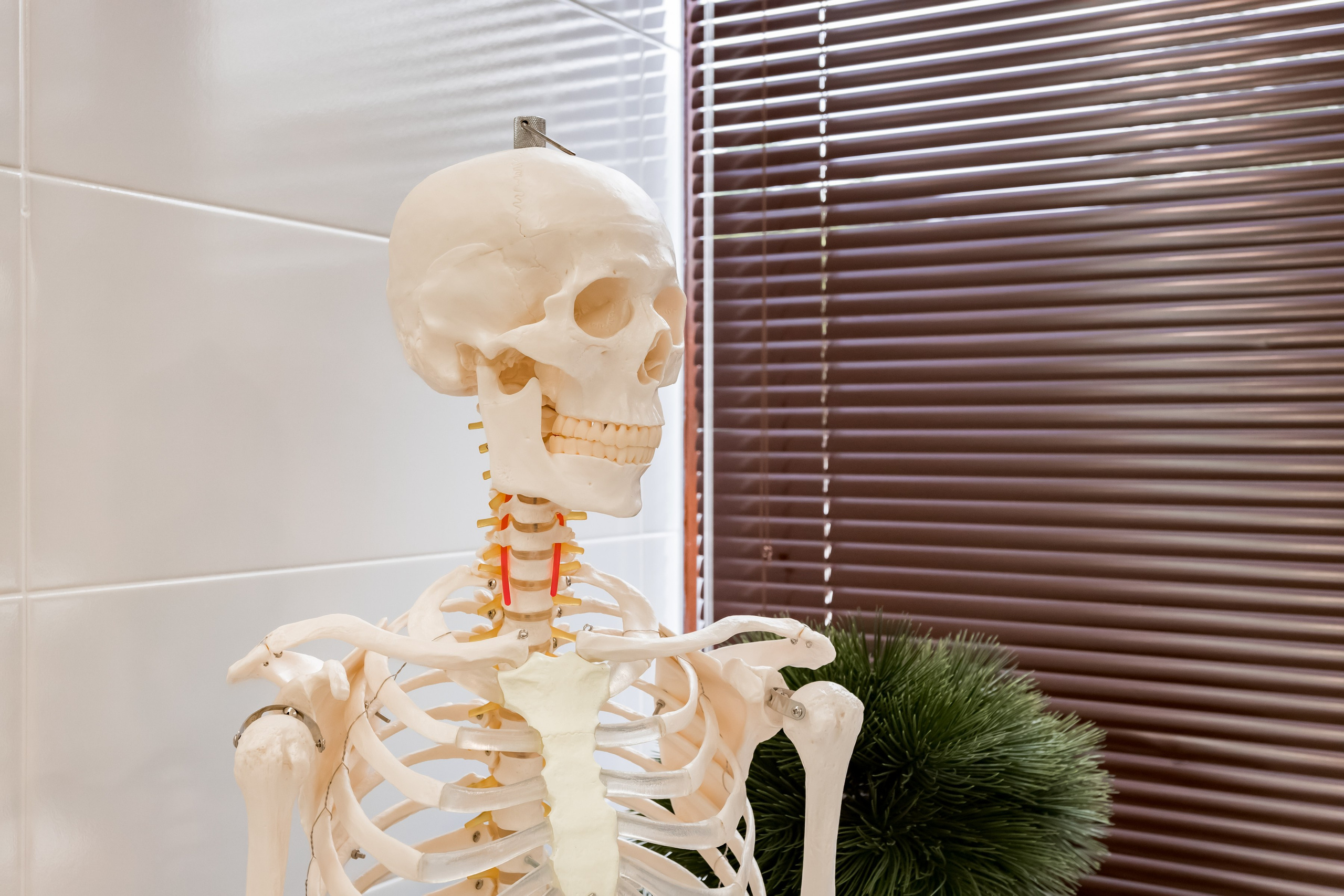 Фотосъемка для клиники доктора Маршенина на улице Крупской. Интерьеры, Контент, Портреты | Фотограф в Москве Дани Терно