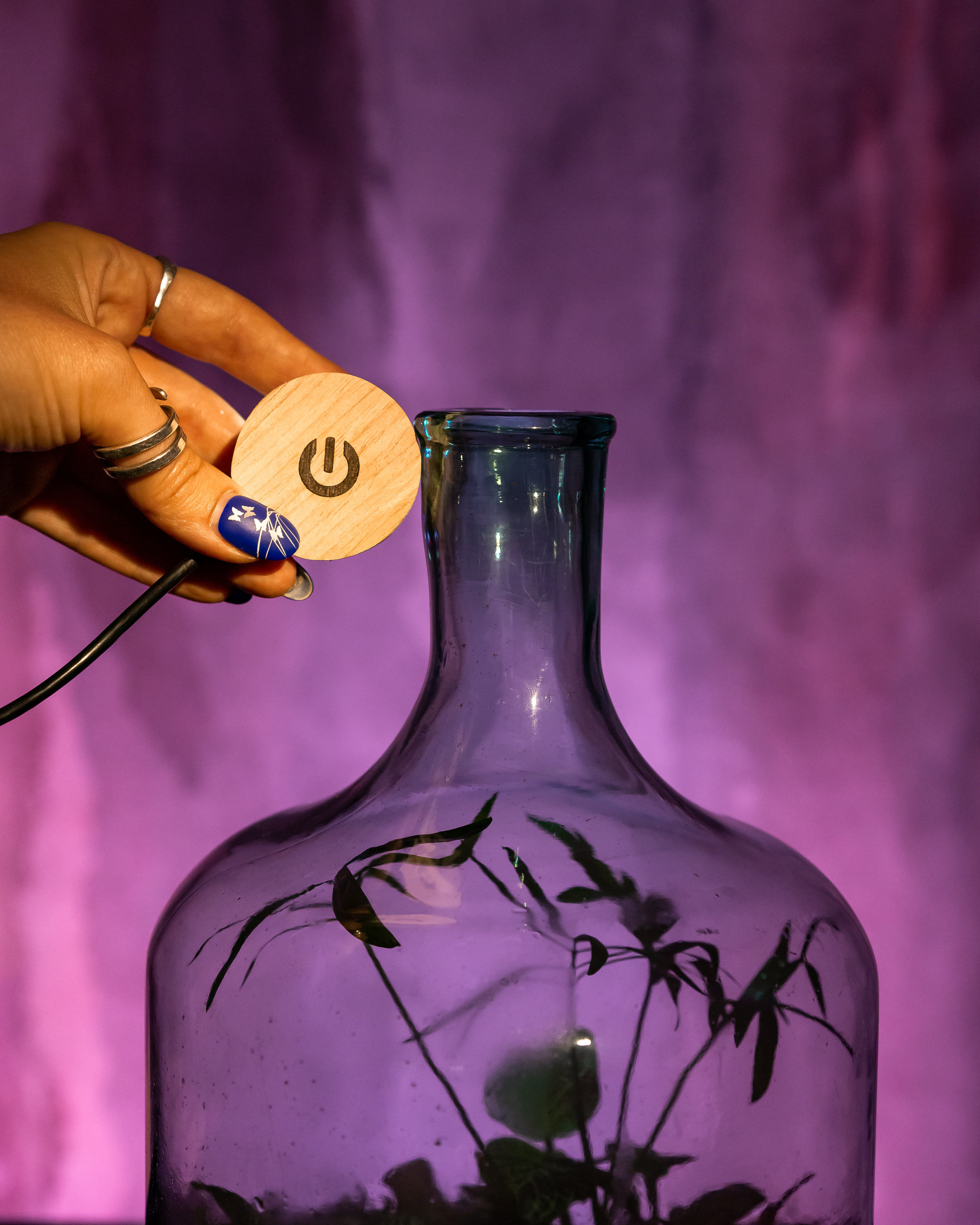 THEFLOWBERRY Живые светильники