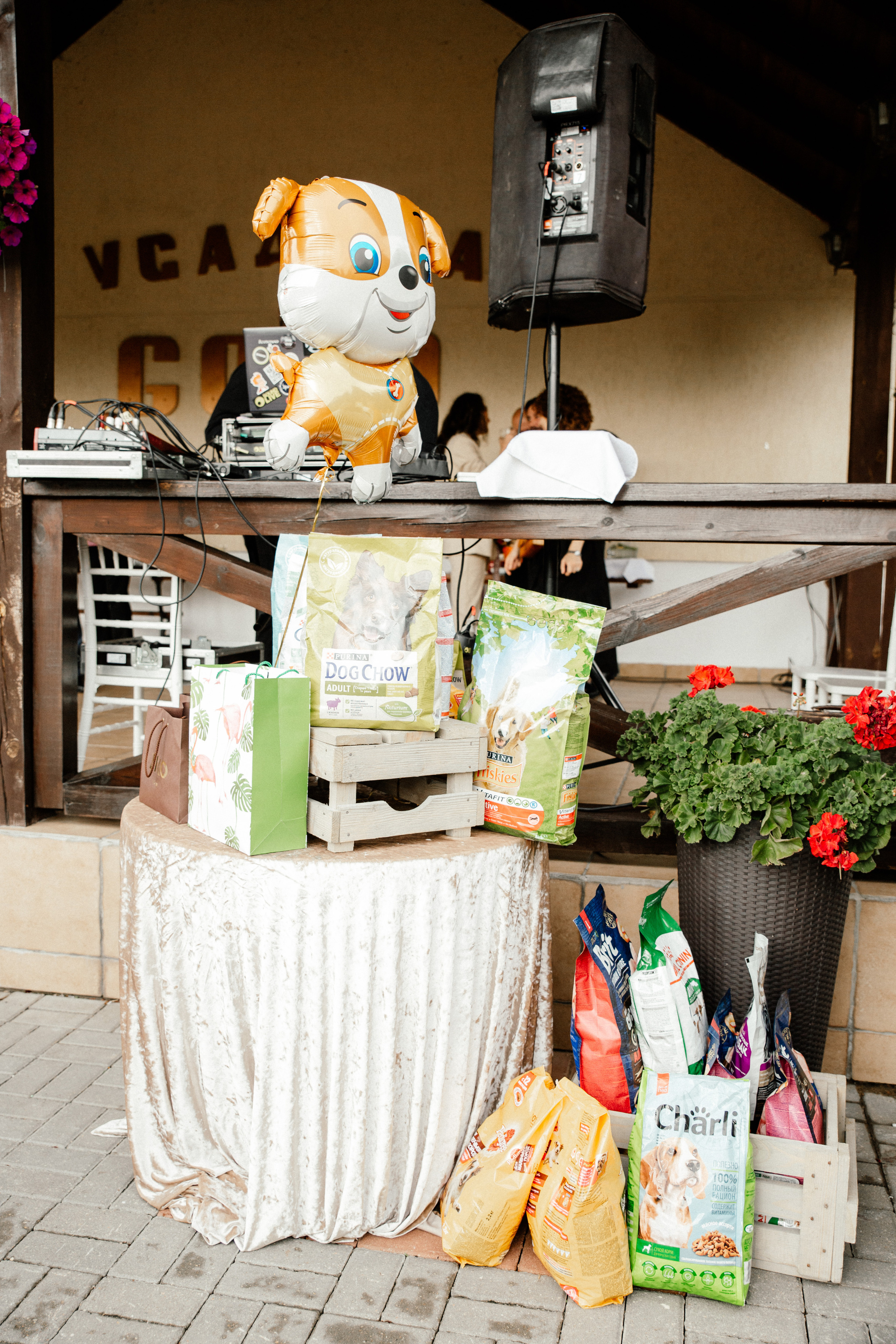 Свабедный фотограф Александр Кожарский