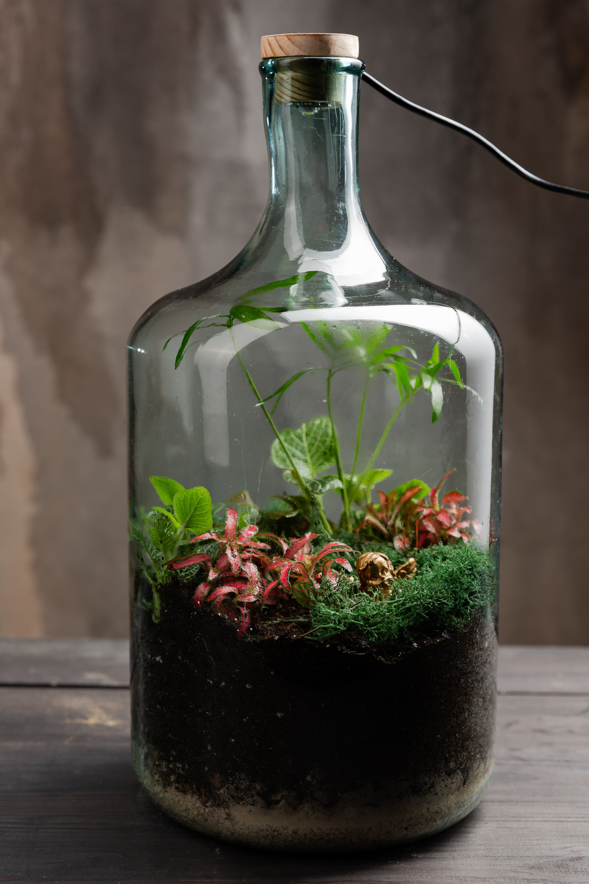 THEFLOWBERRY Живые светильники