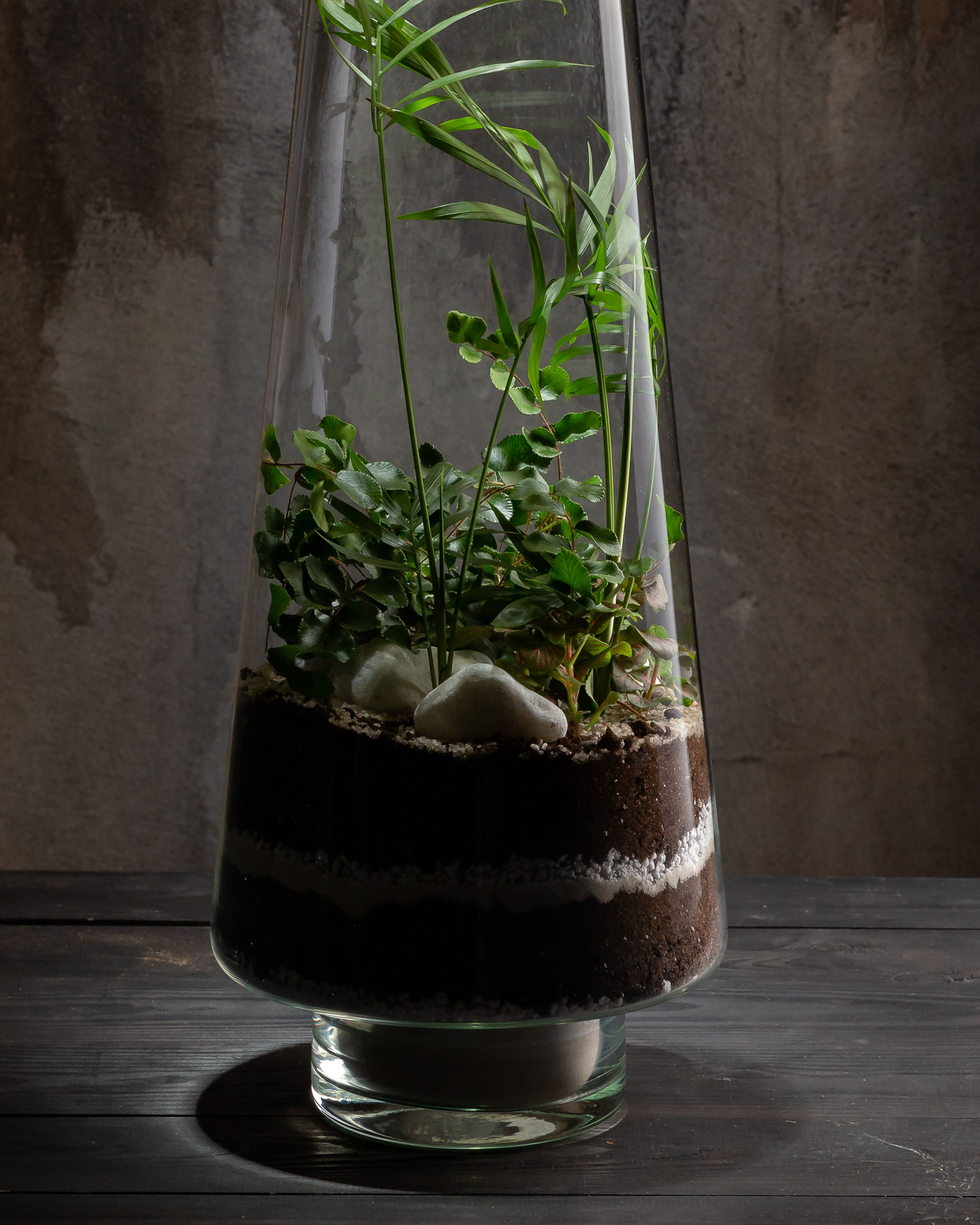 THEFLOWBERRY Живые светильники