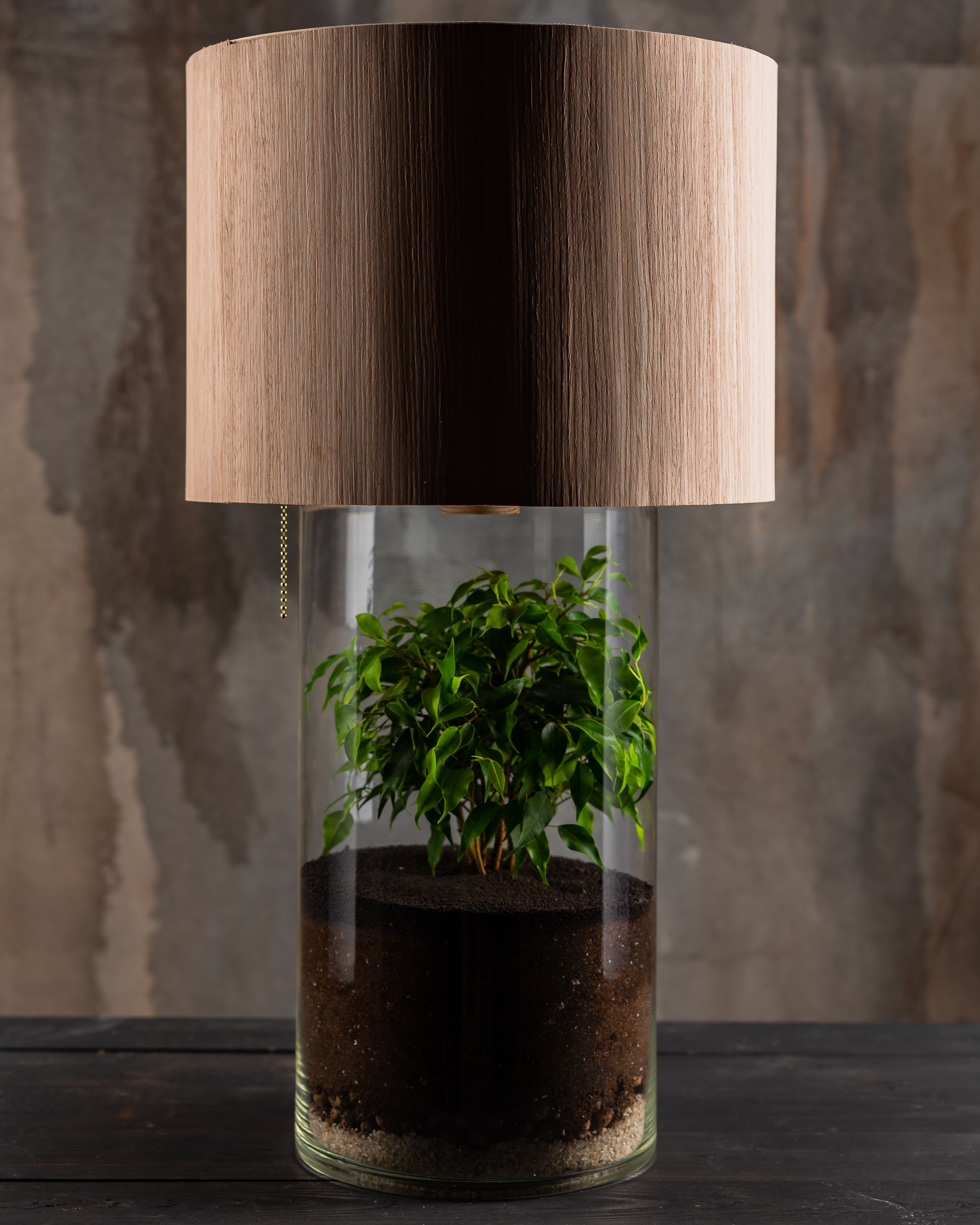 THEFLOWBERRY Живые светильники