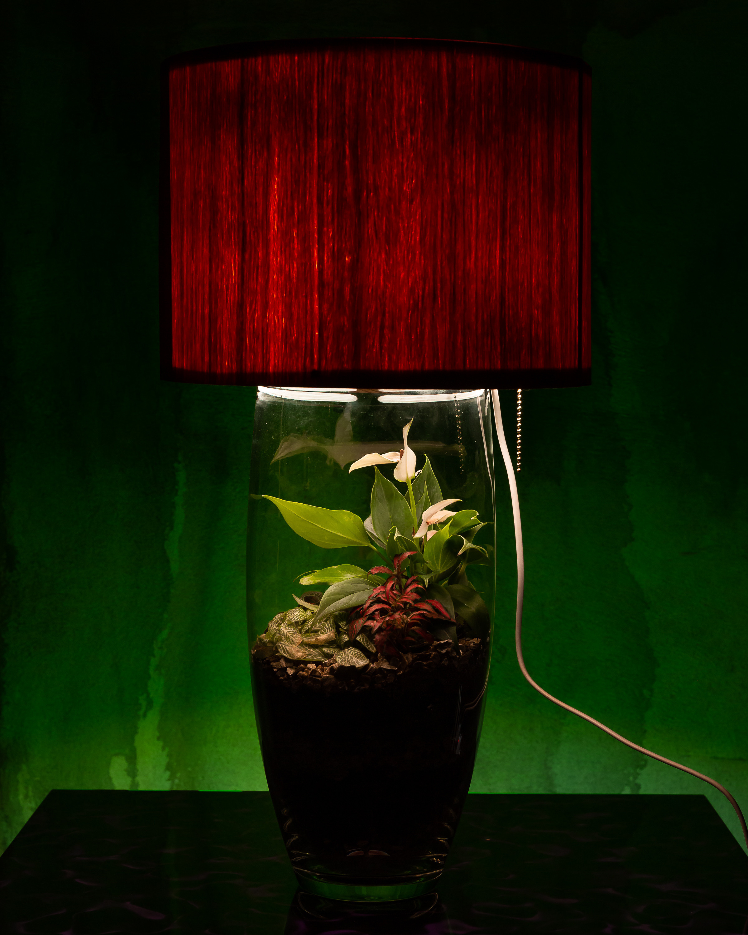 THEFLOWBERRY Живые светильники