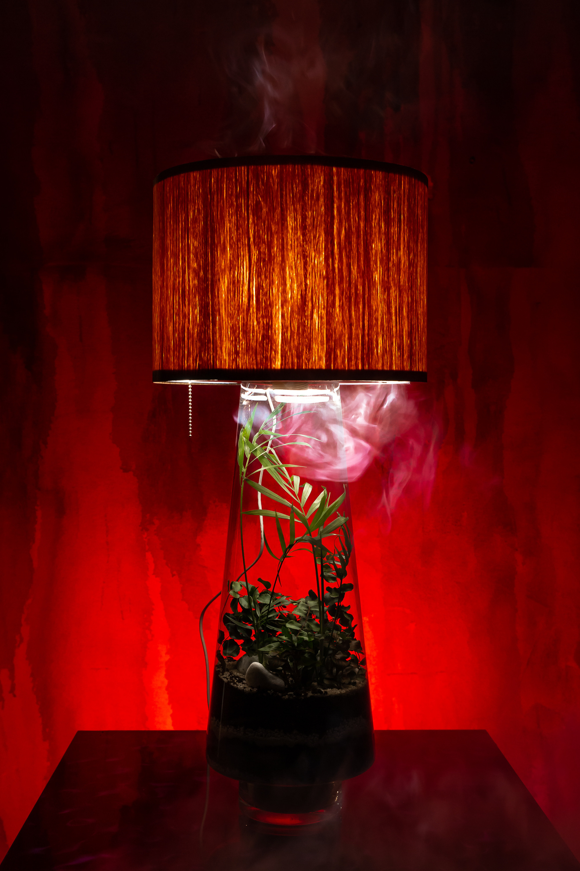 THEFLOWBERRY Живые светильники