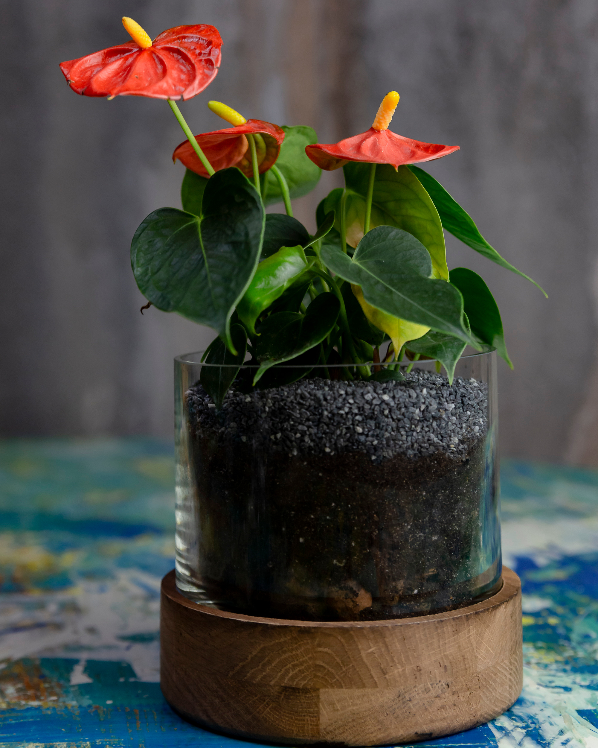 THEFLOWBERRY Живые светильники