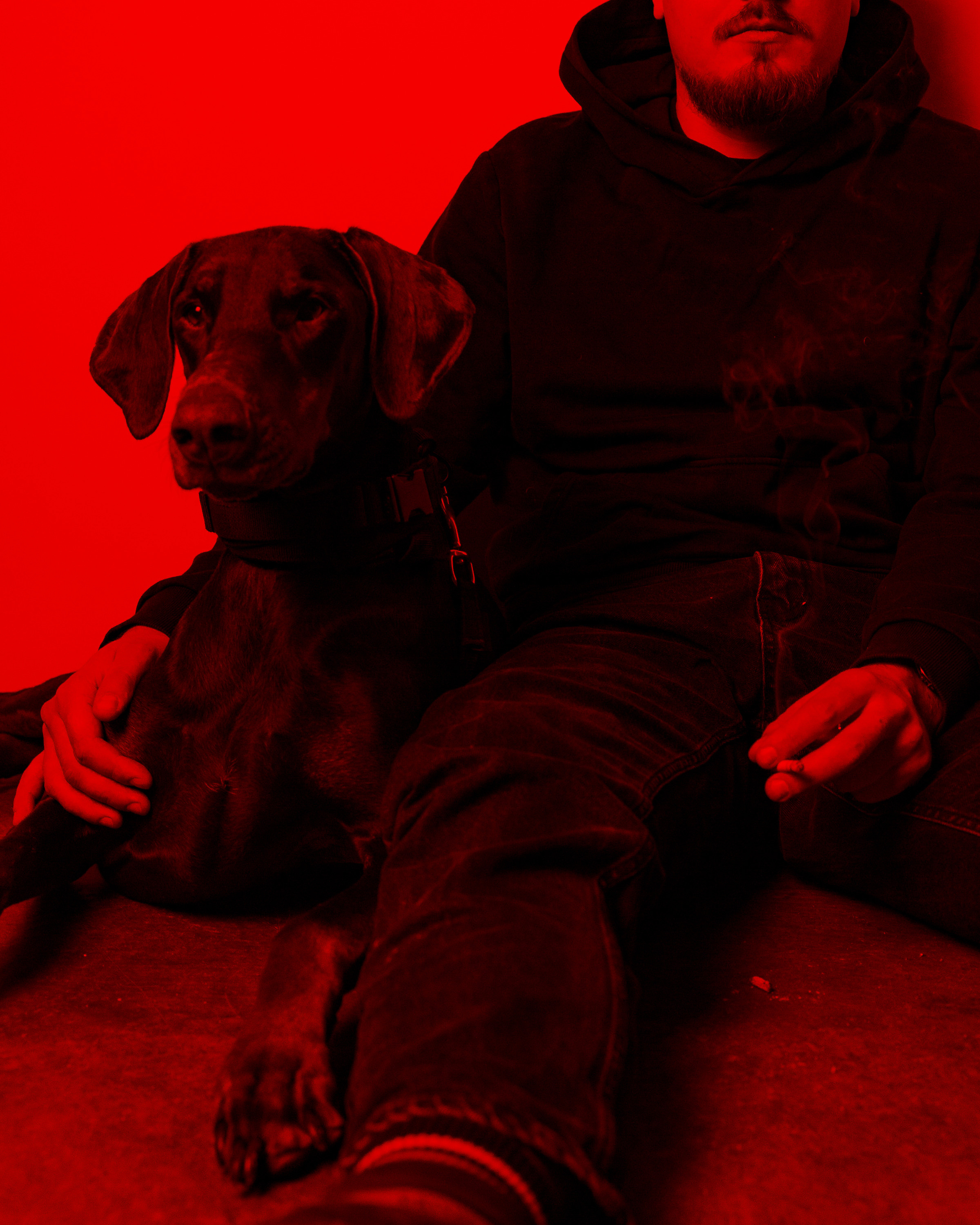 Фотосессия с собакой. Фотограф vitalina.fox