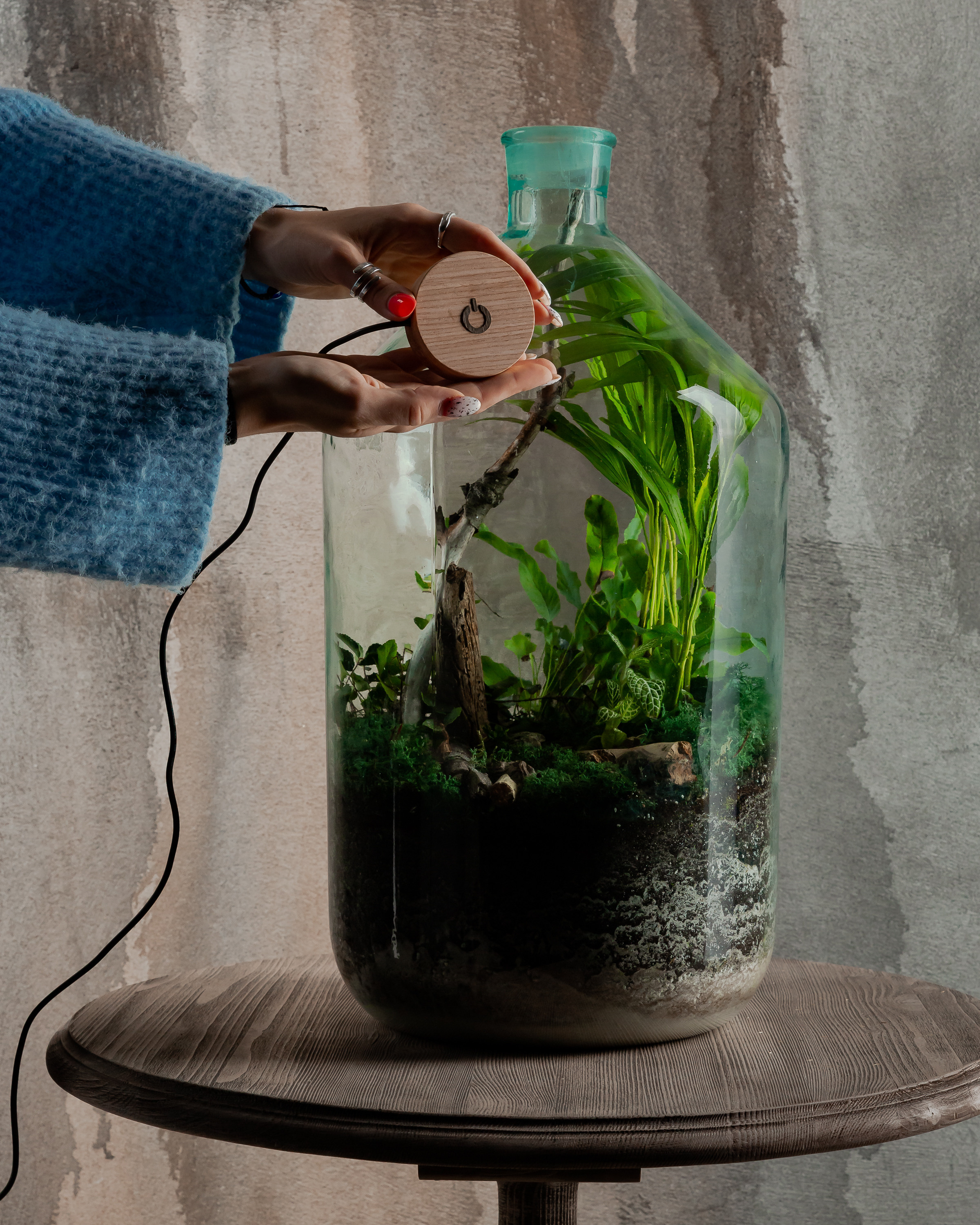 THEFLOWBERRY Живые светильники