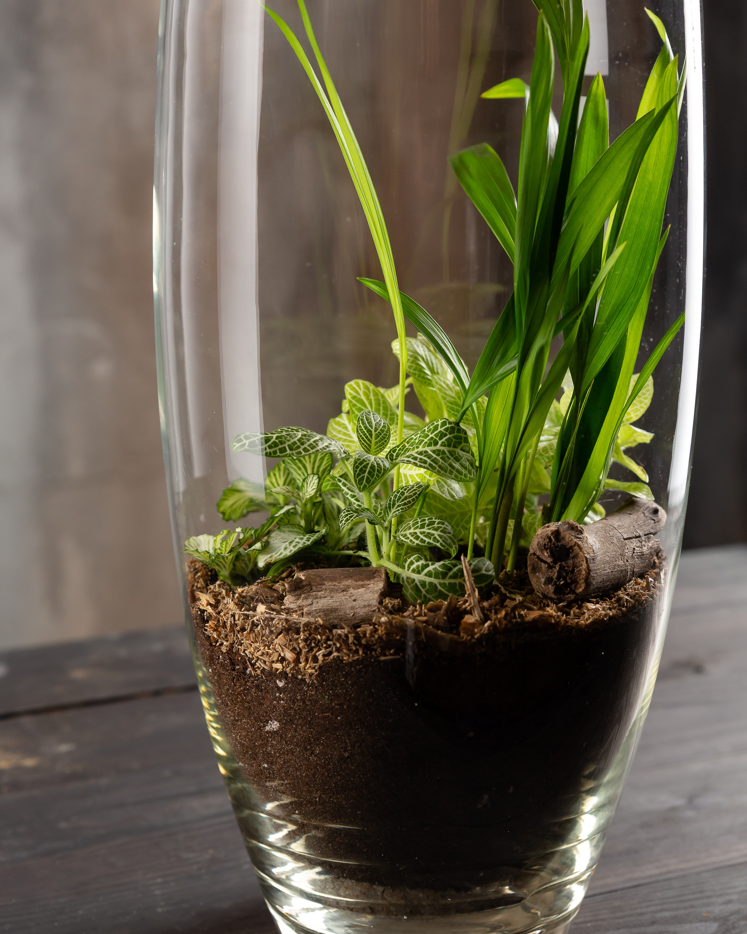 THEFLOWBERRY Живые светильники