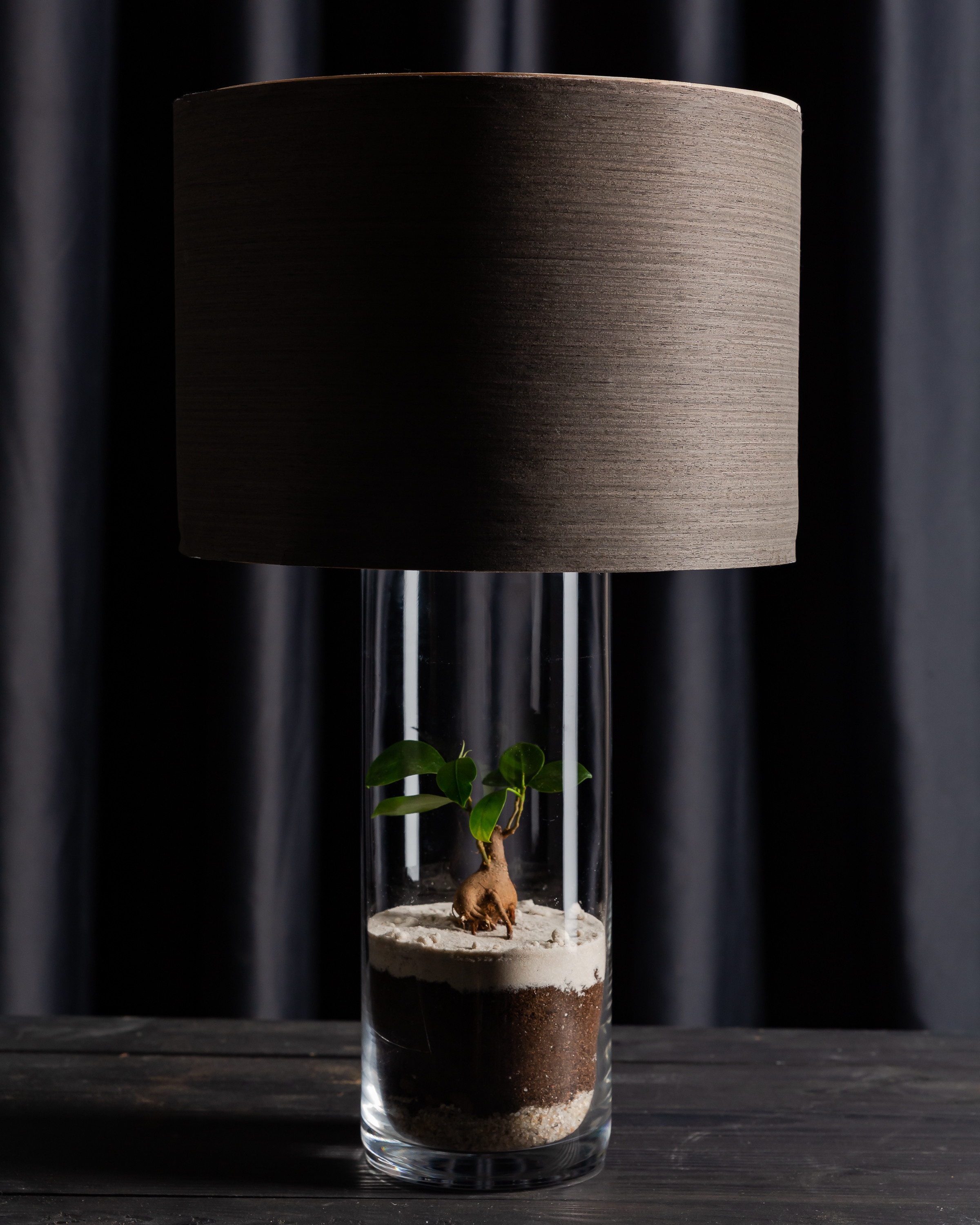 THEFLOWBERRY Живые светильники