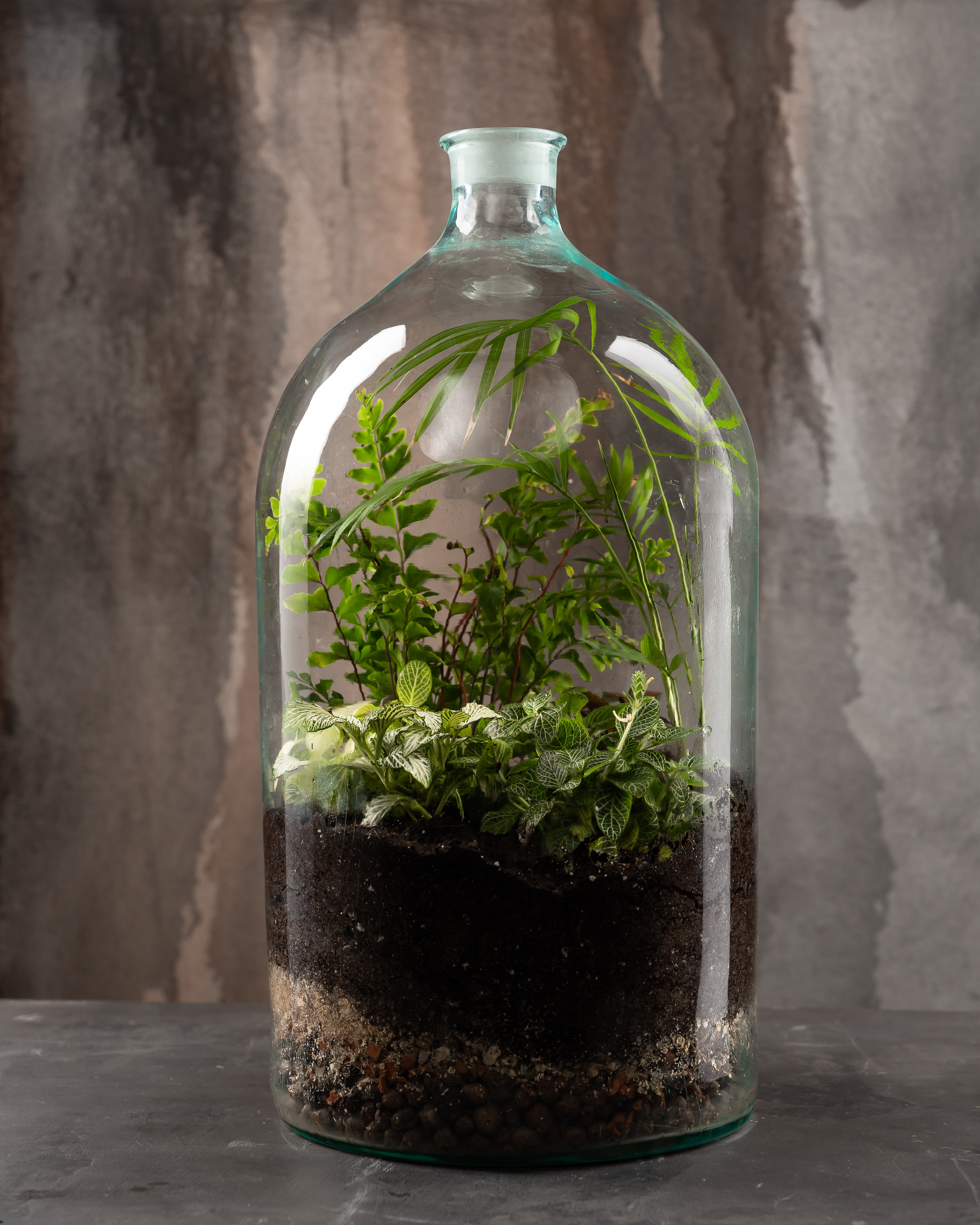 THEFLOWBERRY Живые светильники