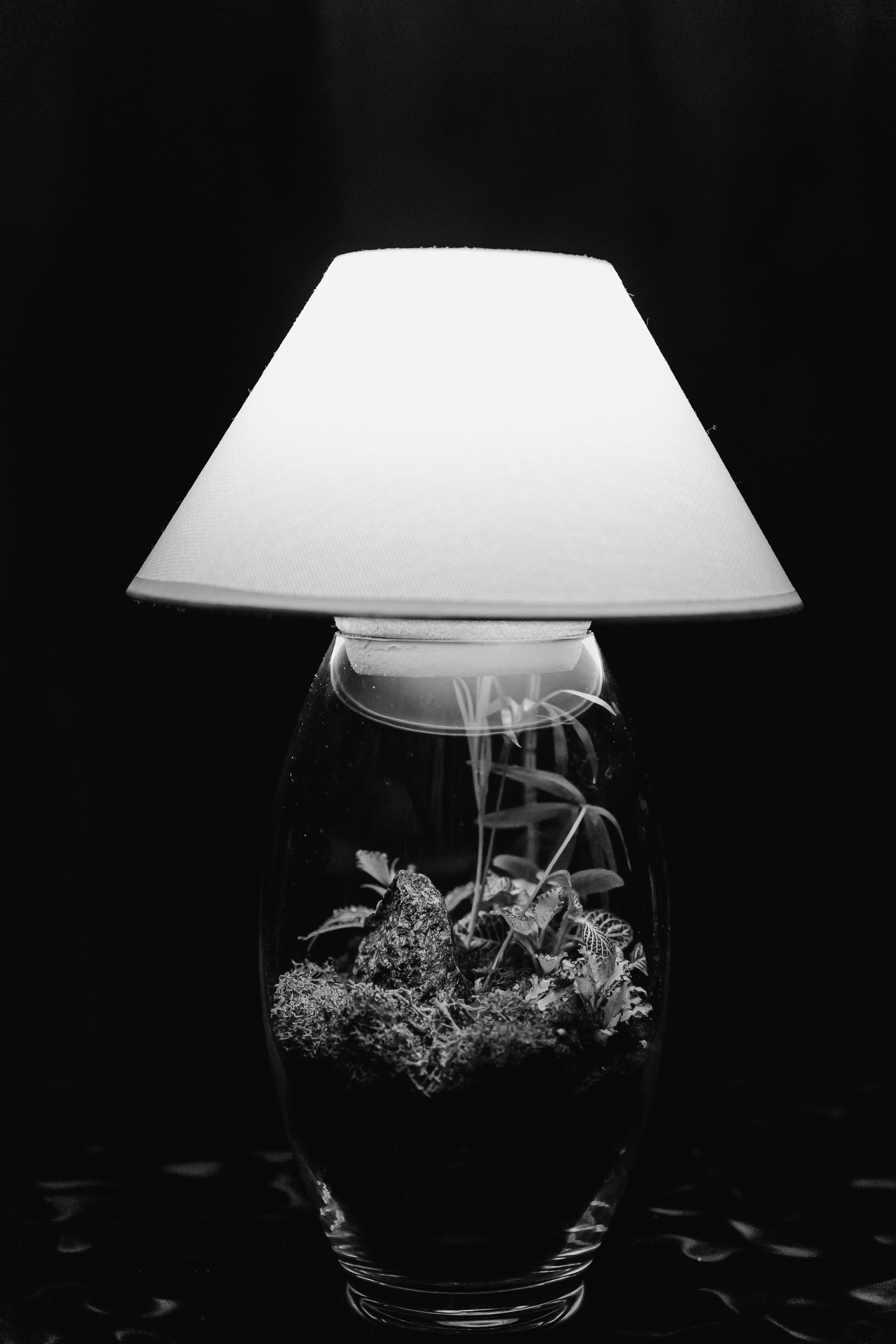 THEFLOWBERRY Живые светильники