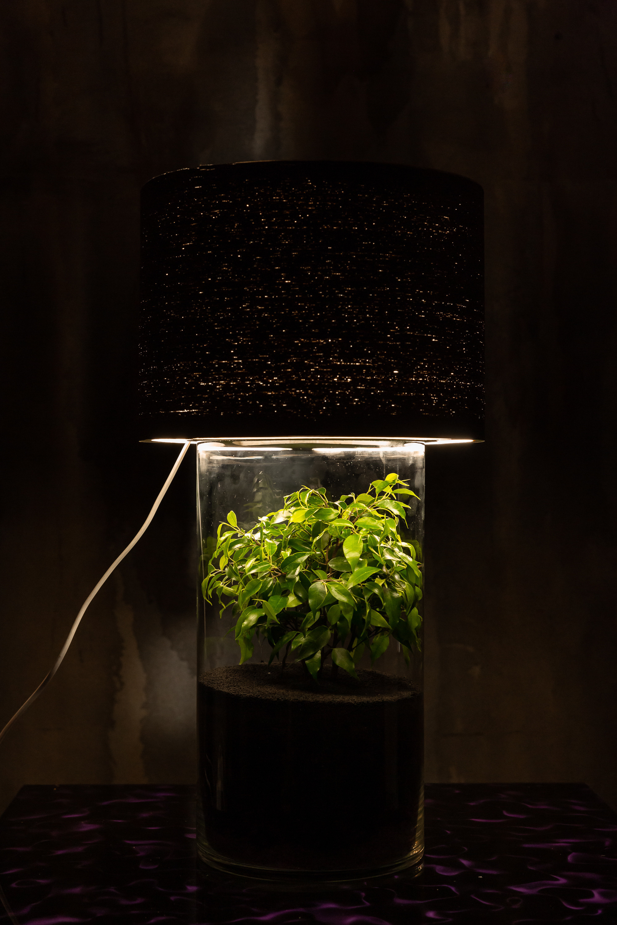 THEFLOWBERRY Живые светильники