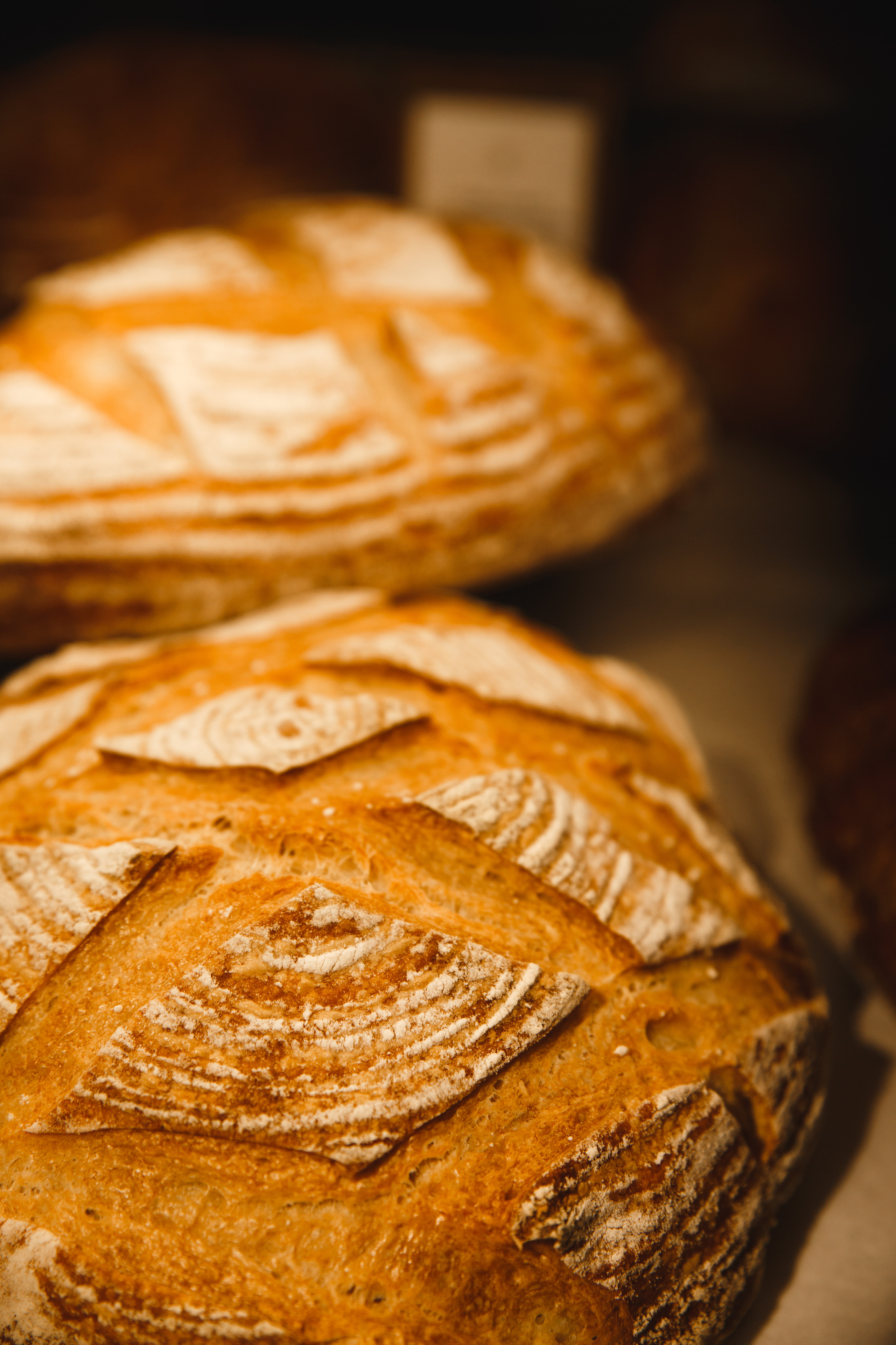 Фотограф Александр Кожарский