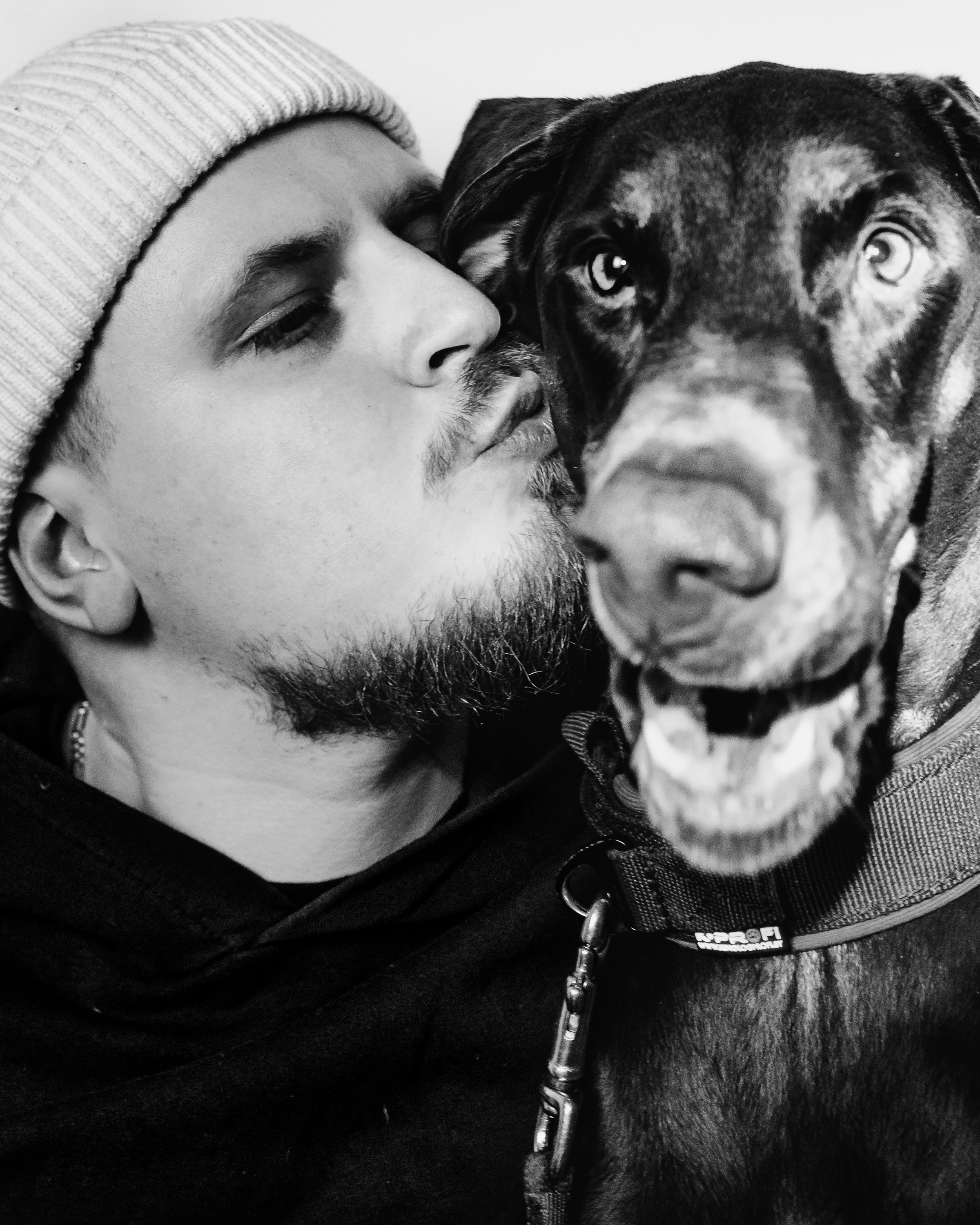 Фотосессия с собакой. Фотограф vitalina.fox