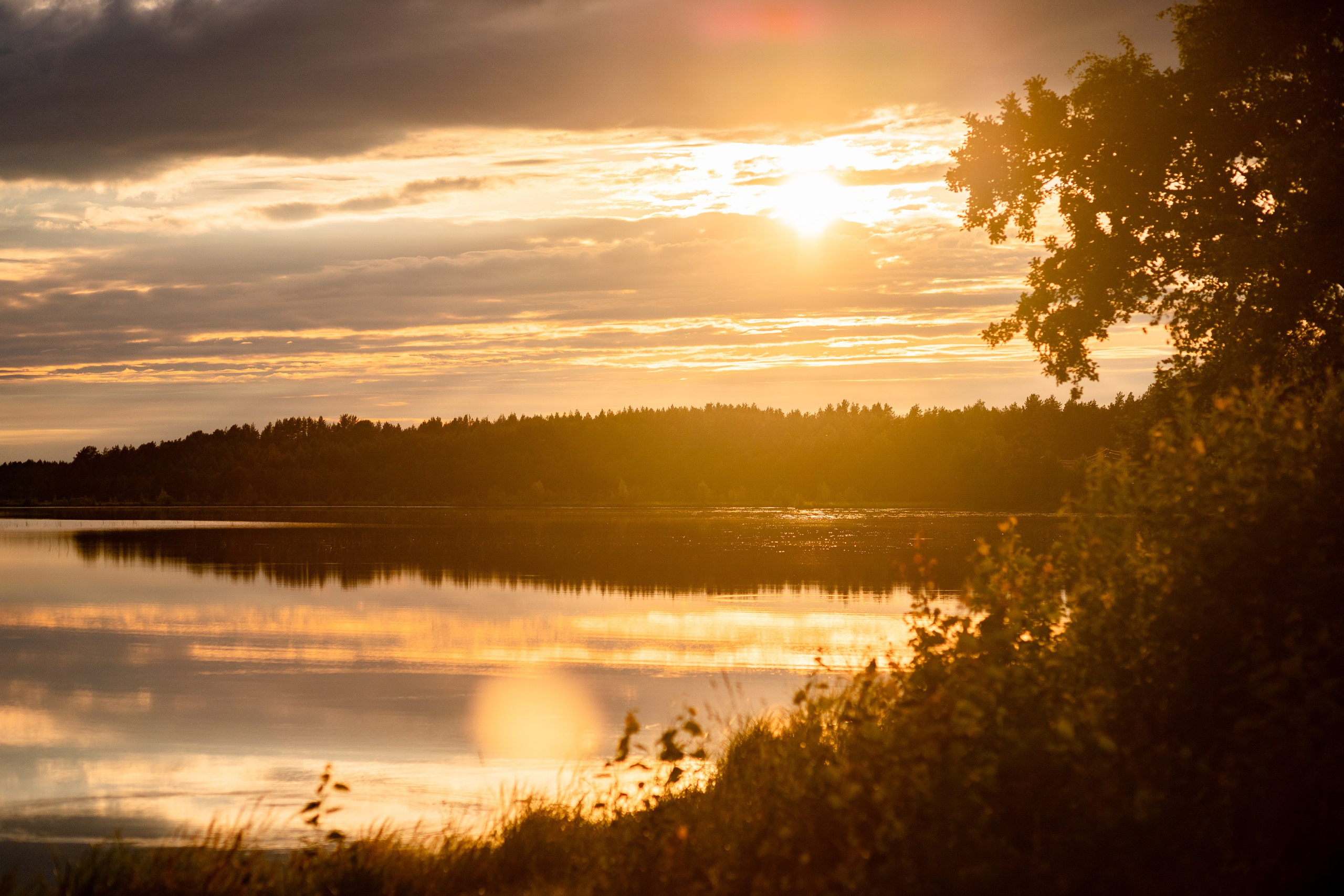 Глэмпинг LampiCamp (Карелия). Павел Шарапов | Фотограф | Москва