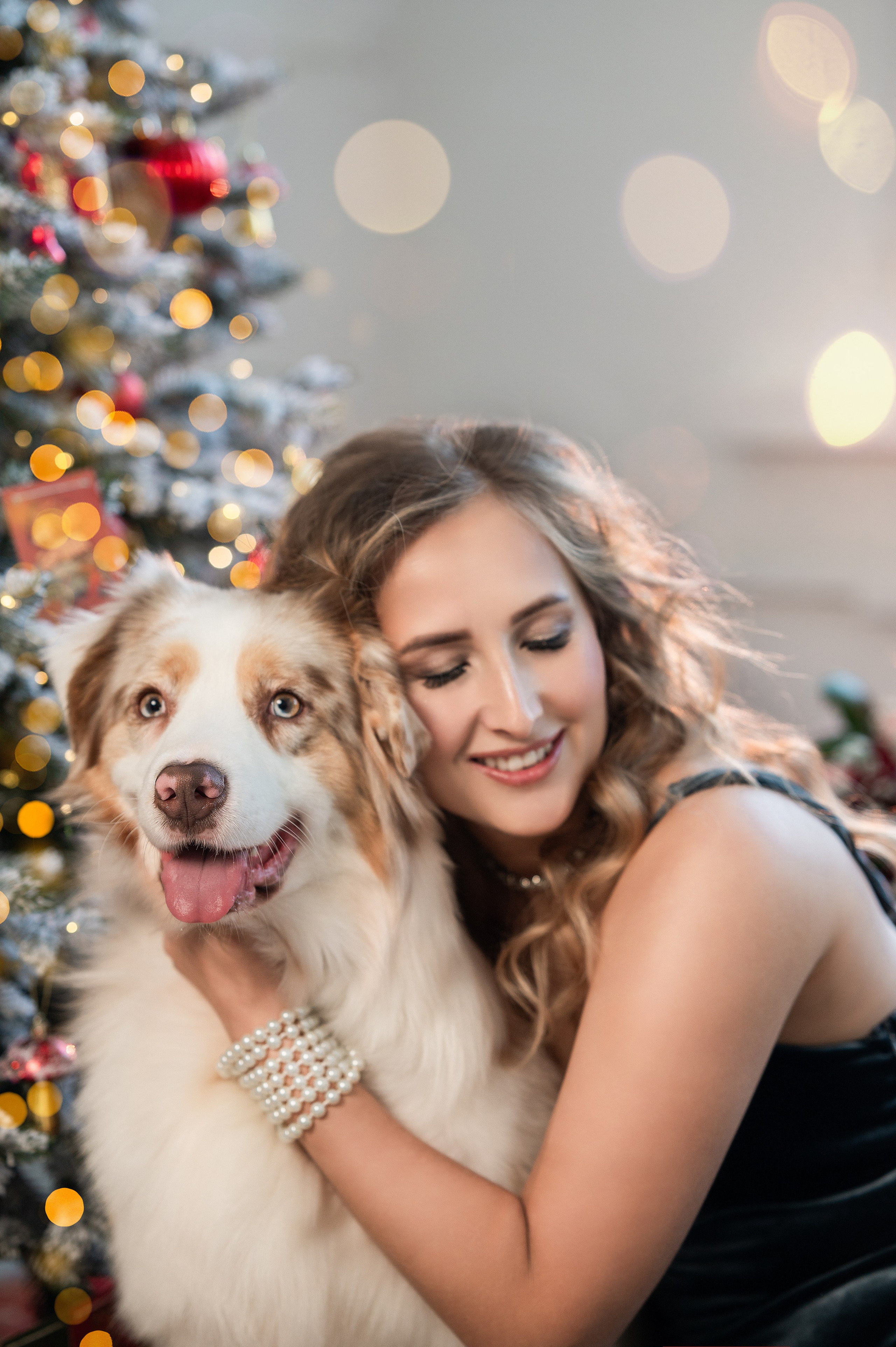 Фотодень с Австралийской овчаркой. Творческий фотограф Вологда