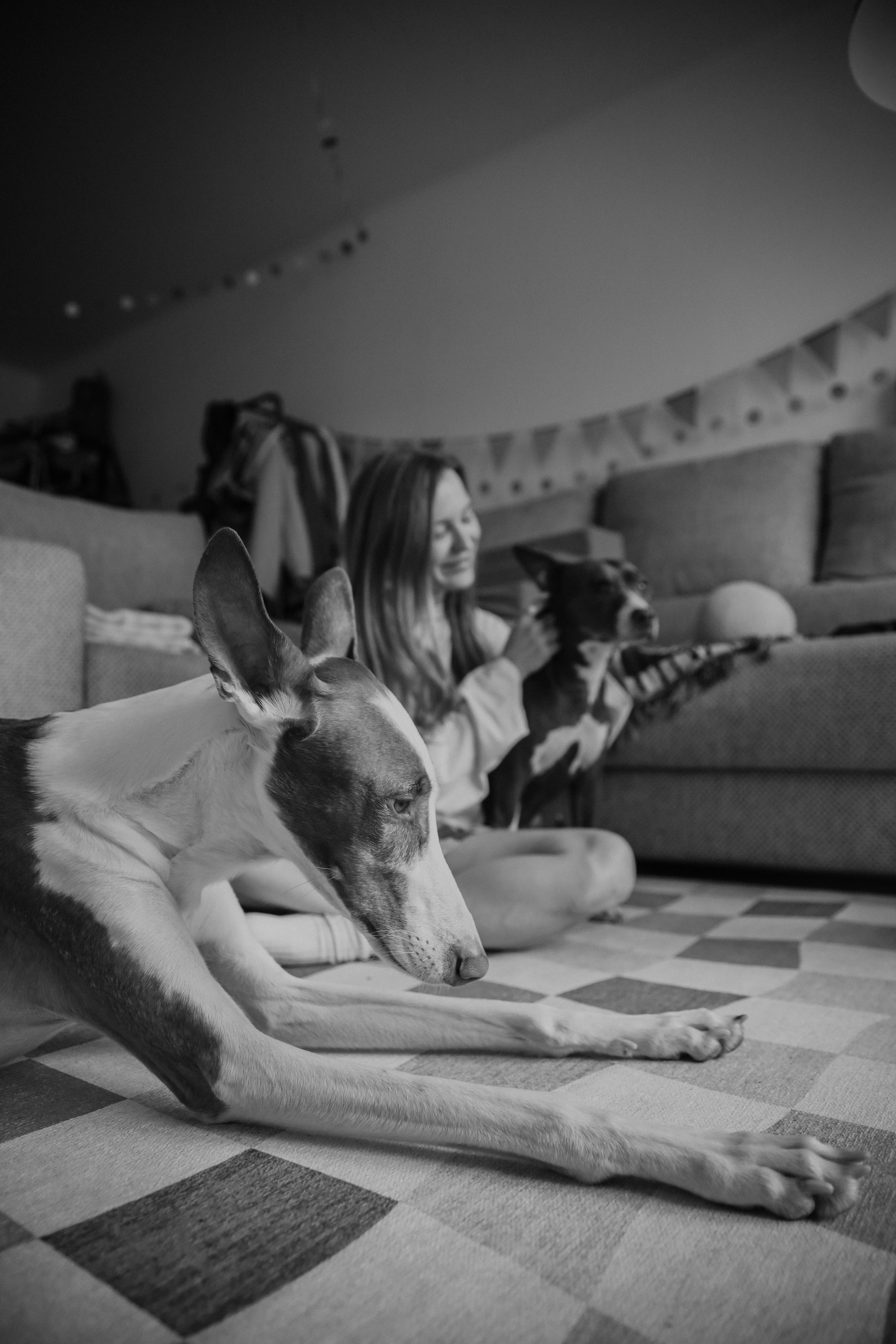 С собаками. Фотограф в Серпухове и Тарусе Ксения Царёва
