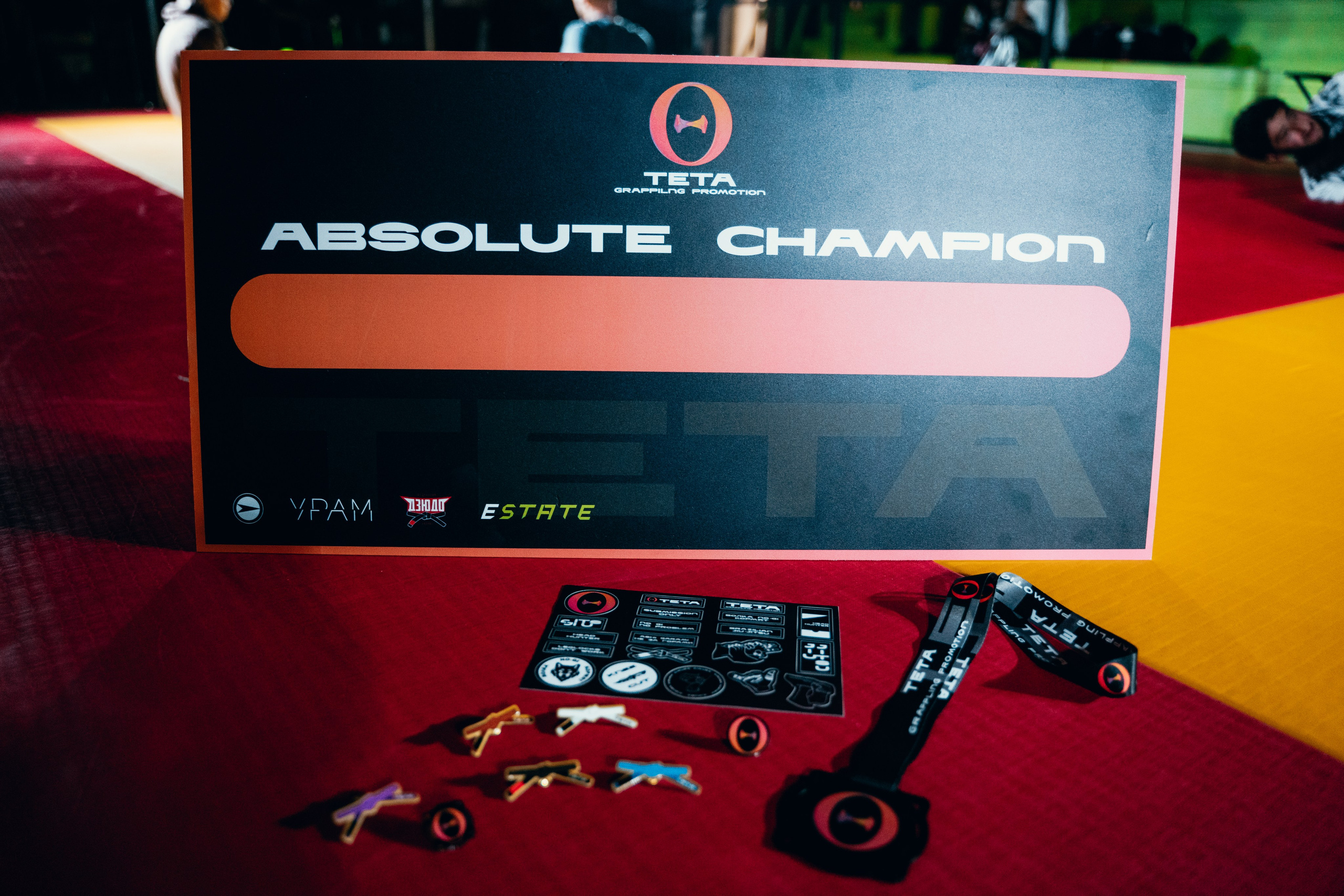 Турнир Teta Promotion 2024. Главная