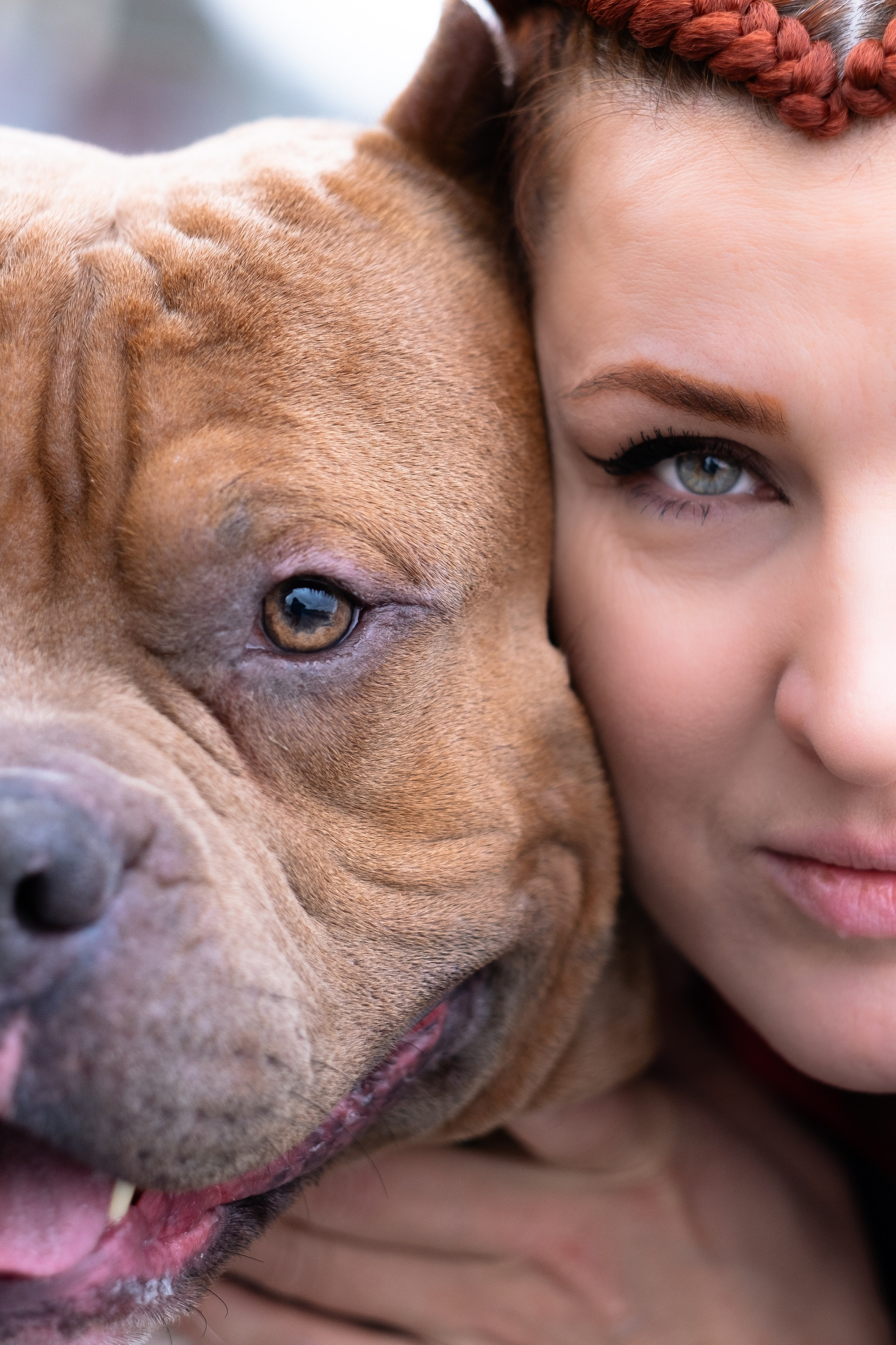 Спай и его семья. Фотограф и видеограф анималист Аганина Дарья