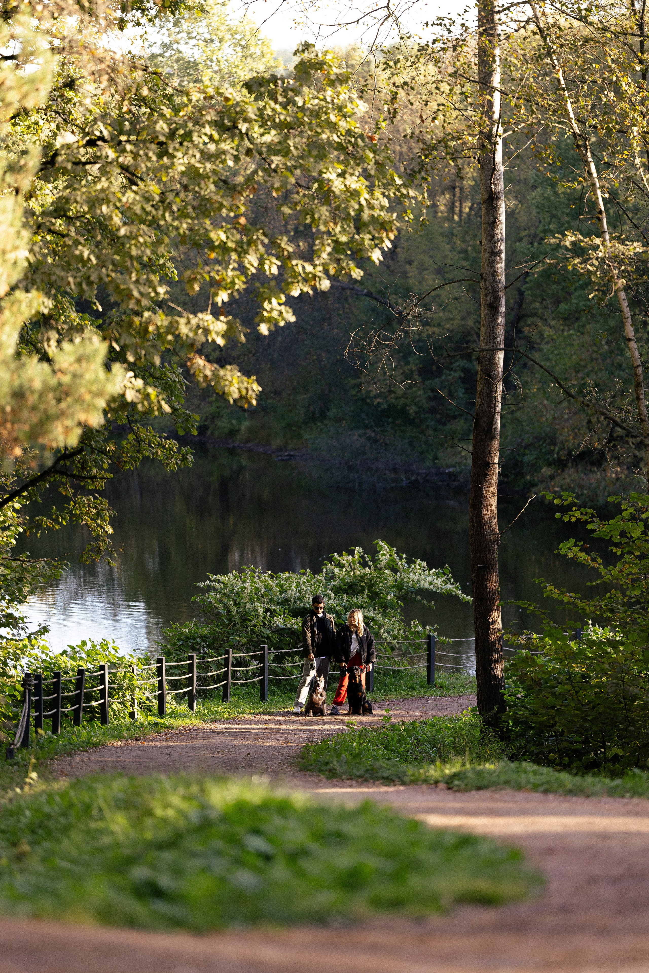 Катя, Леша, Лея и Трой. Фотограф и видеограф анималист Аганина Дарья