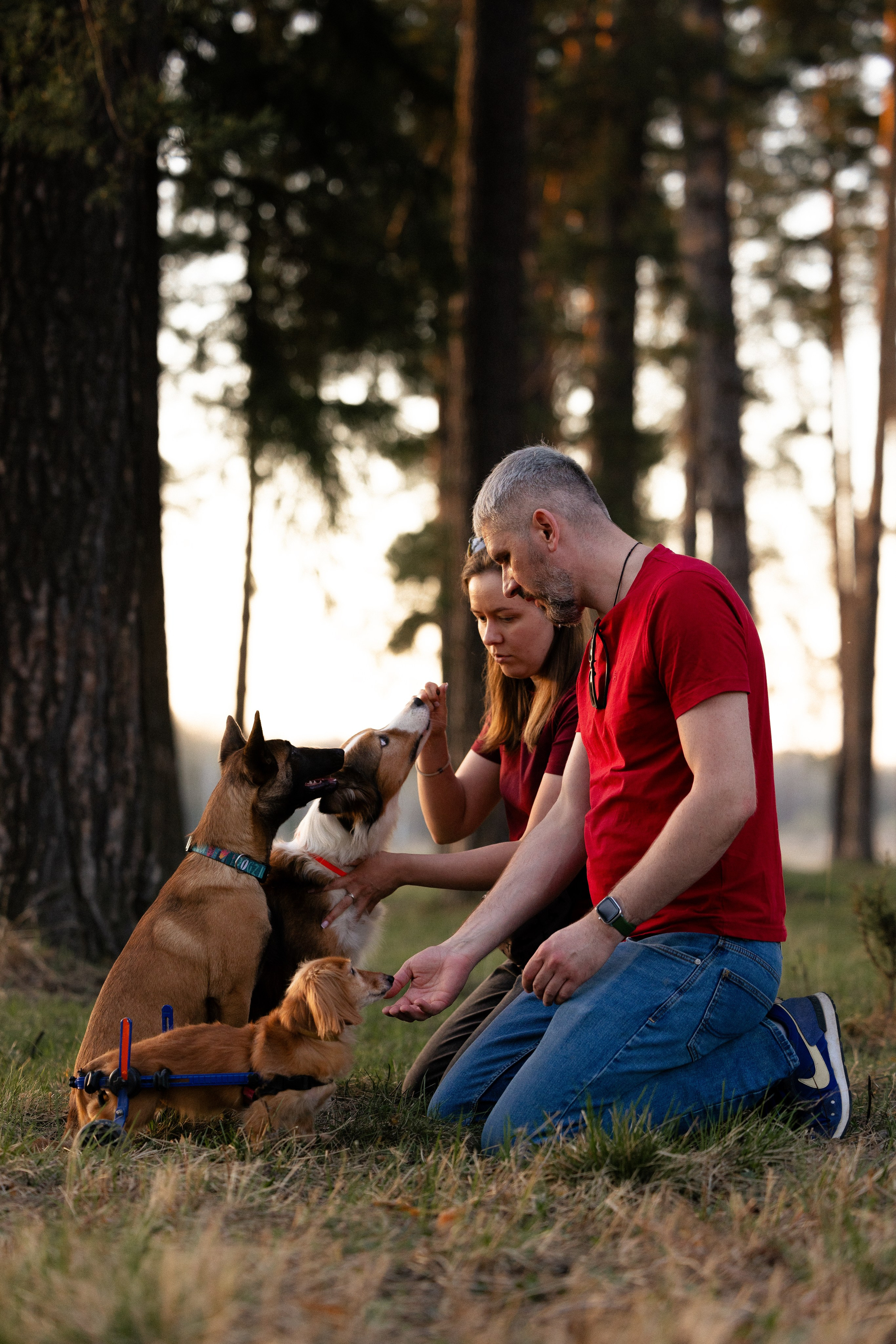 Разношерстная компания. Фотограф и видеограф анималист Аганина Дарья