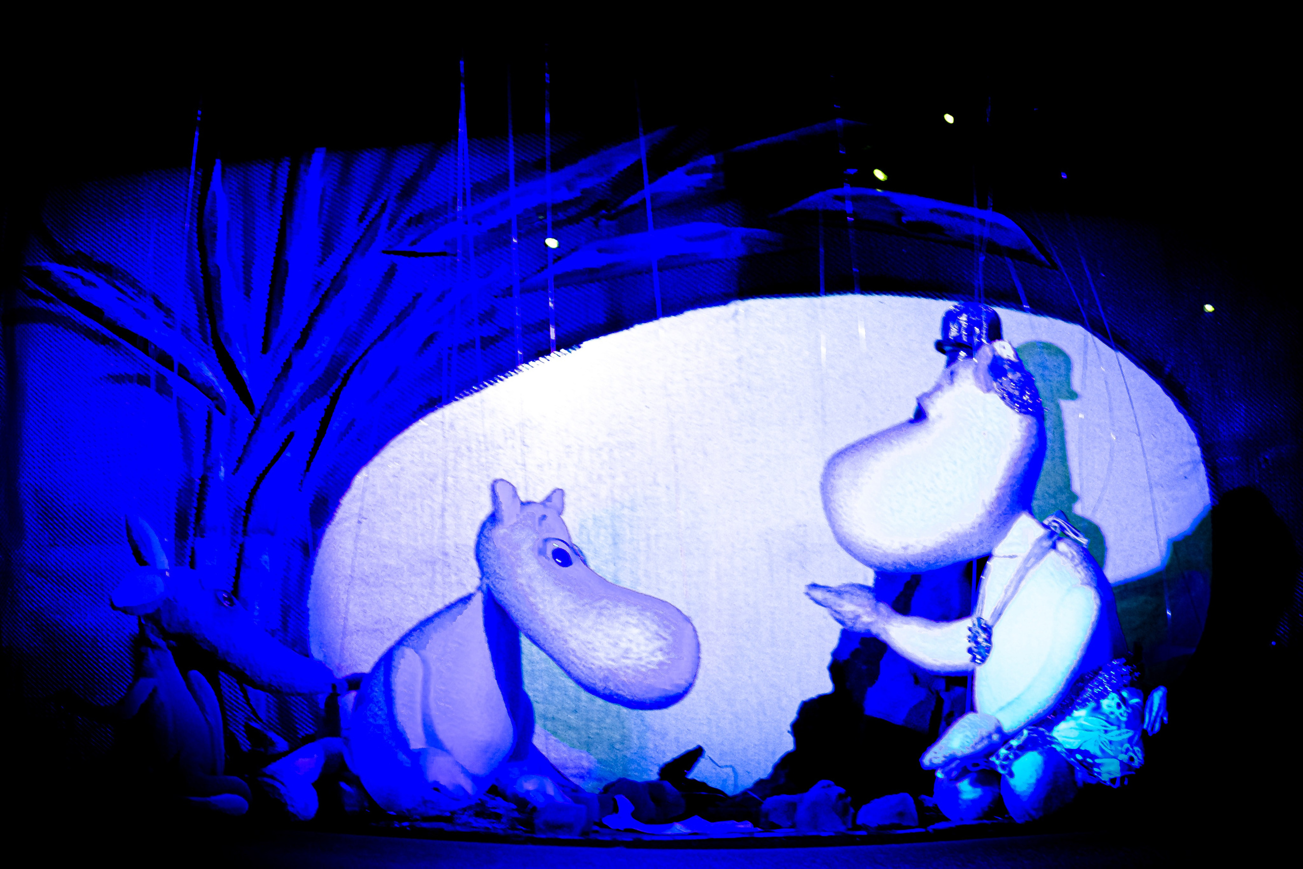 «Муми тролли и большое наводнение». Фотограф в Сочи Юрий Шептаев