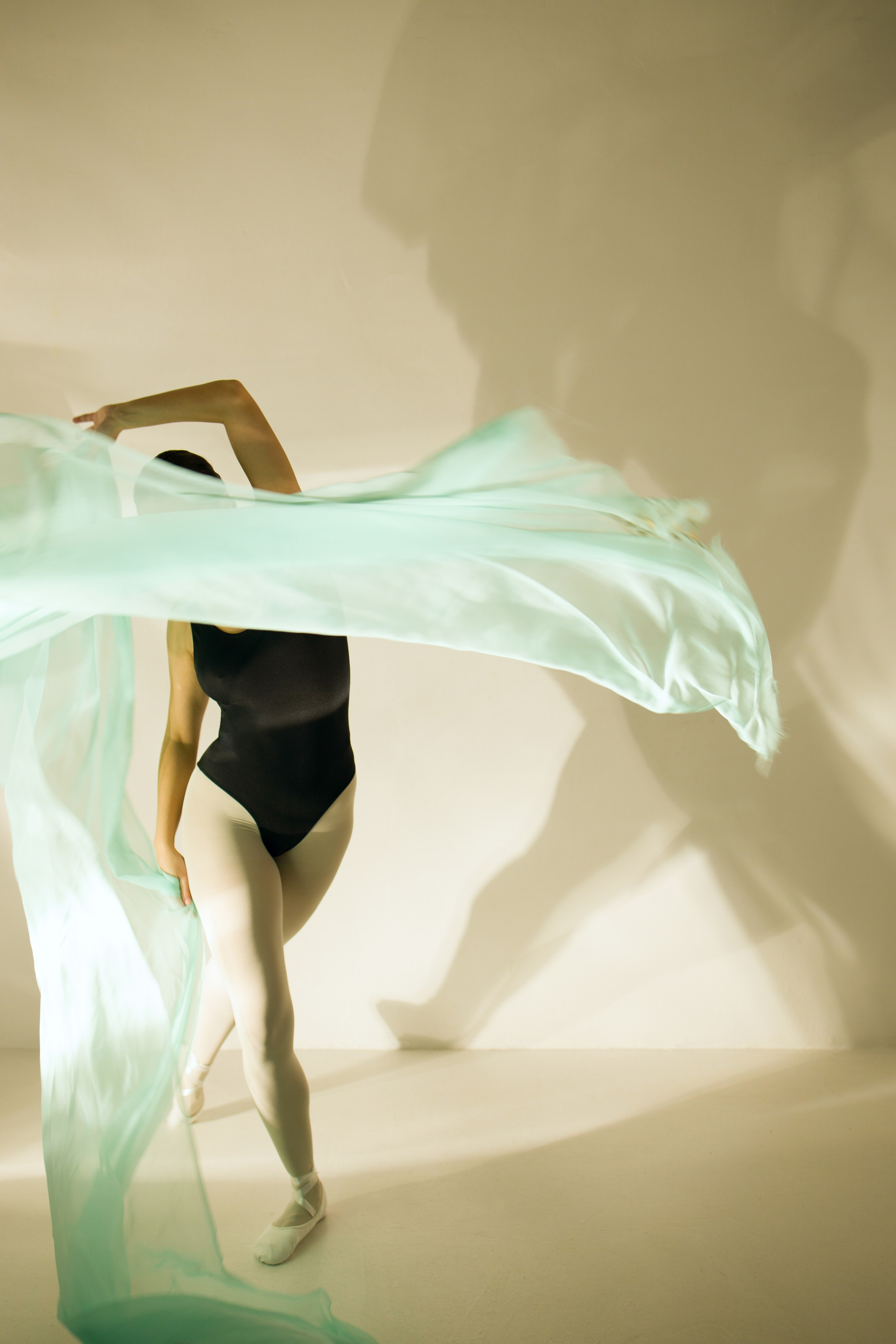 Лилия. Художественная фотография