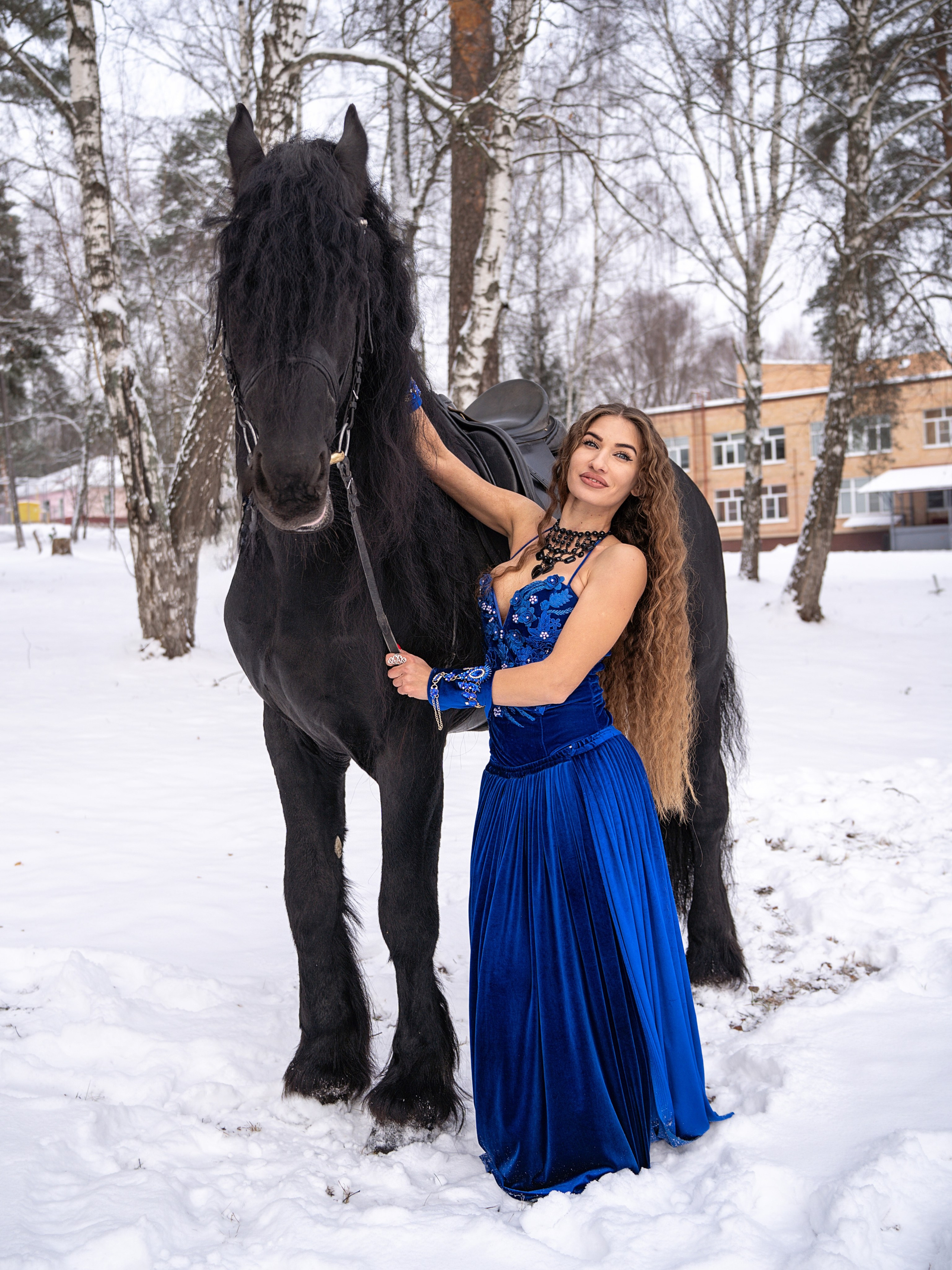 Лошадки зима. Фотограф Зинаида Евдокимова