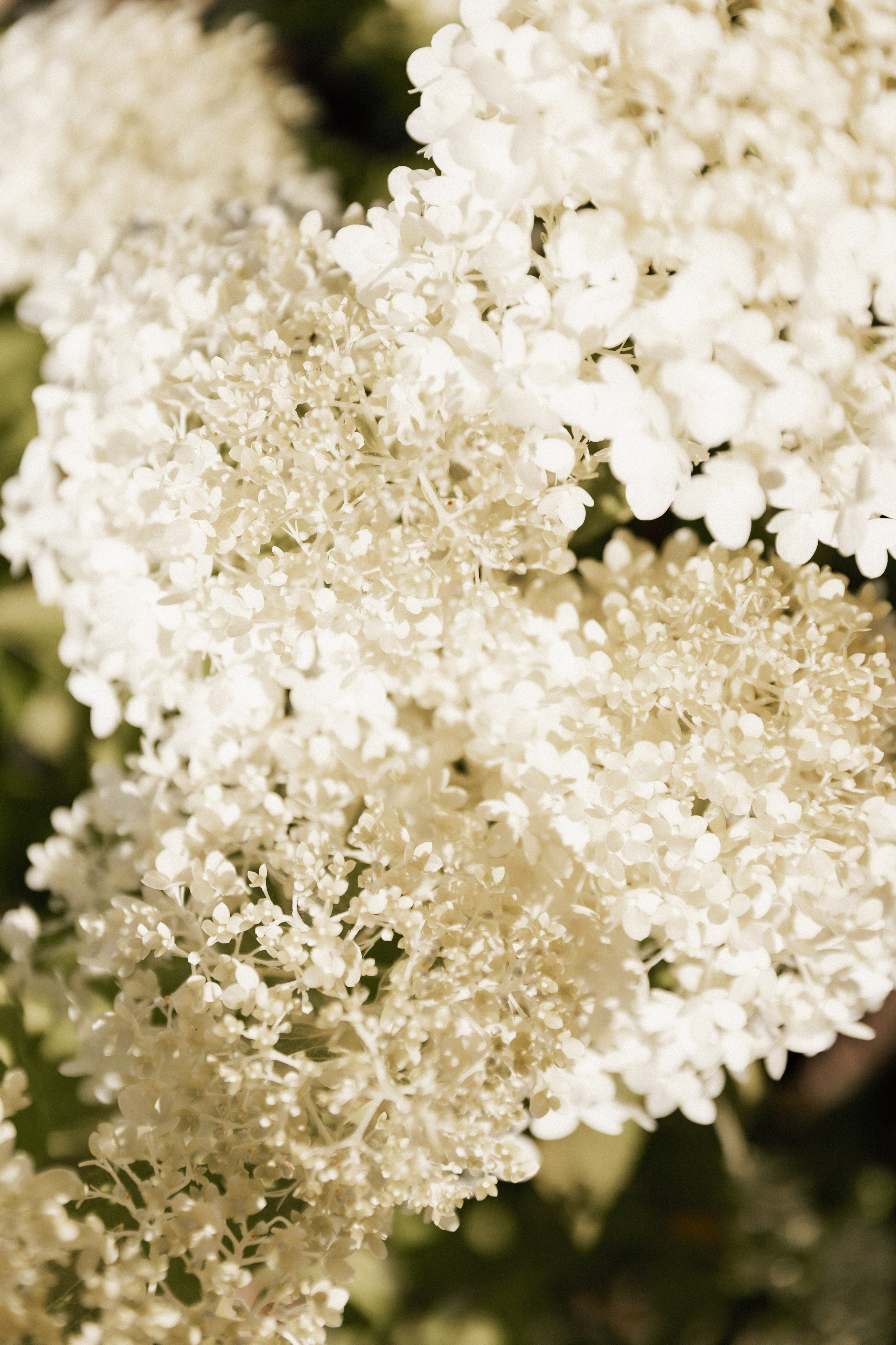 Роман и Анастасия. Фотограф в Челябинске Наталья Епимахова