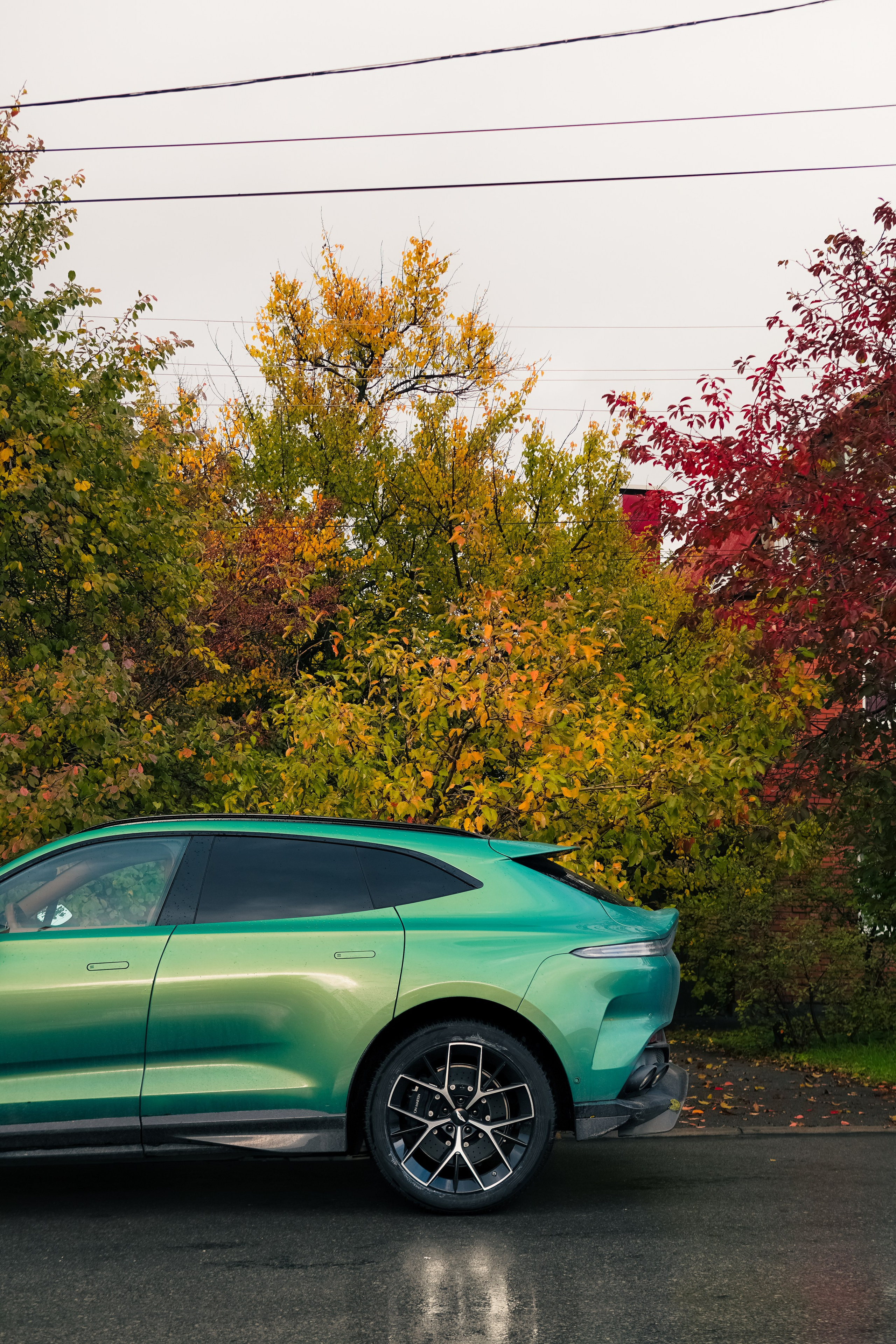 Aston Martin DBX 707. AutoAlexArt