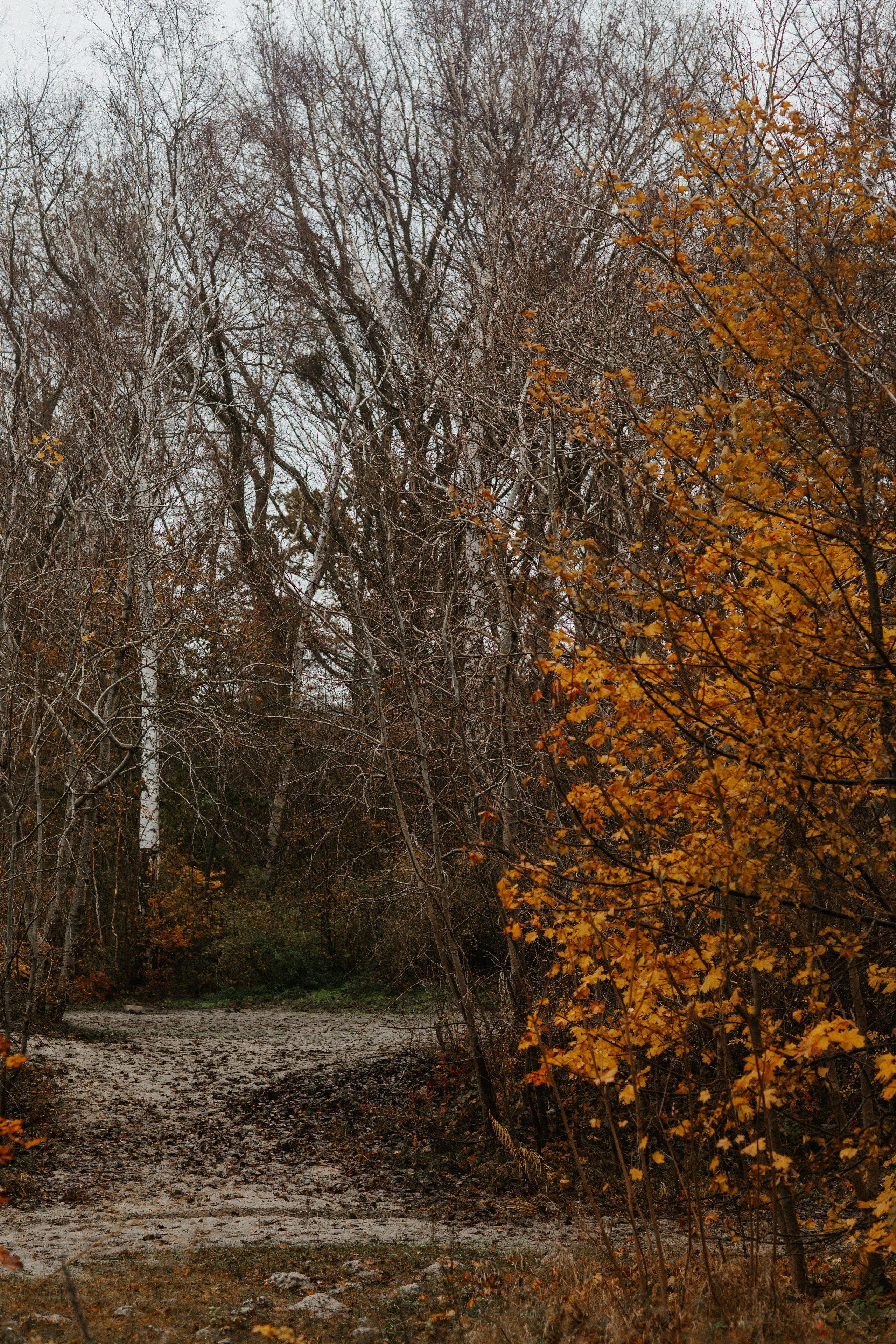 Фотосессия в Балтийске. Https://malovafoto.ru