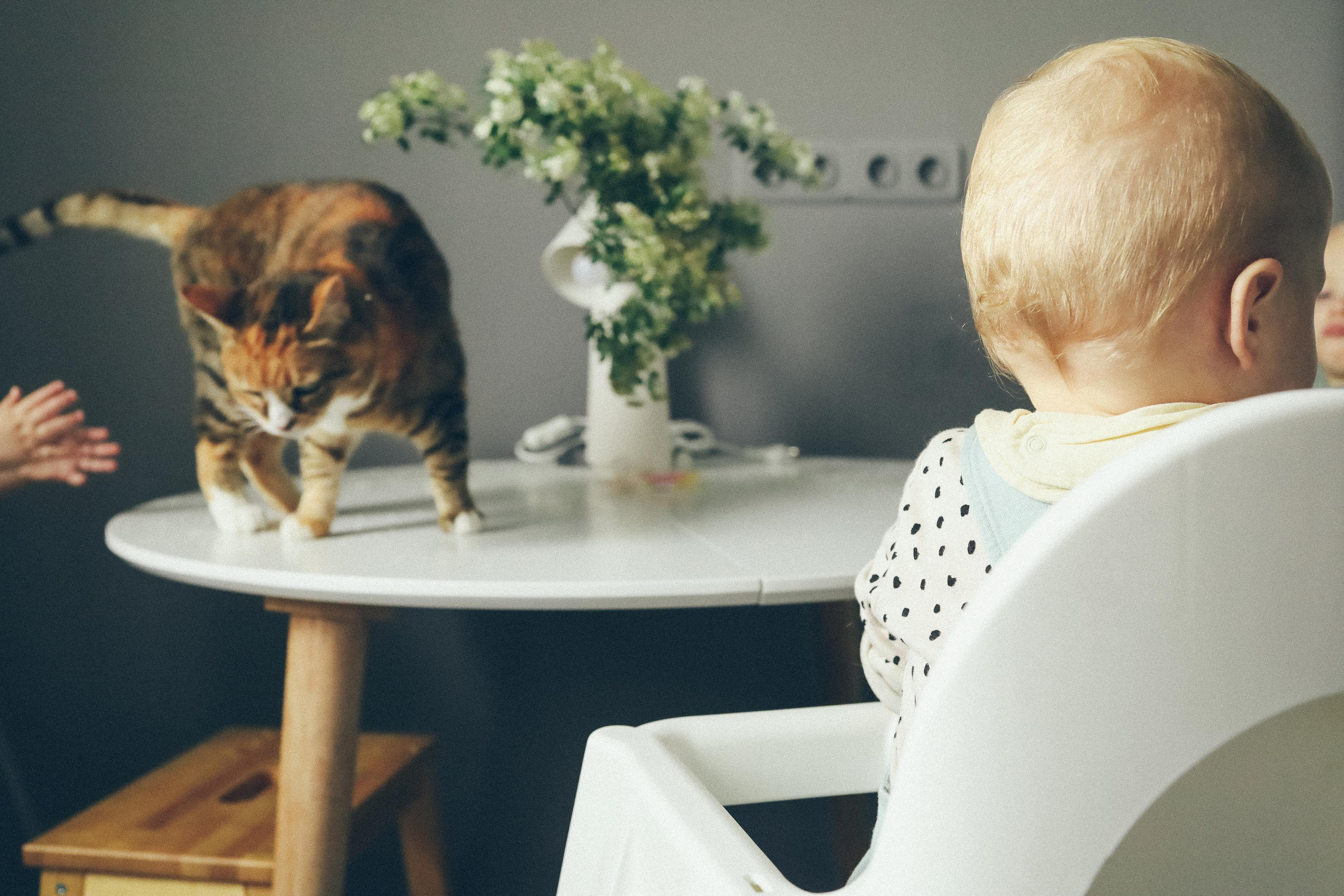 Тройняшки. Детский семейный фотограф в Москве Светлана Микадзе