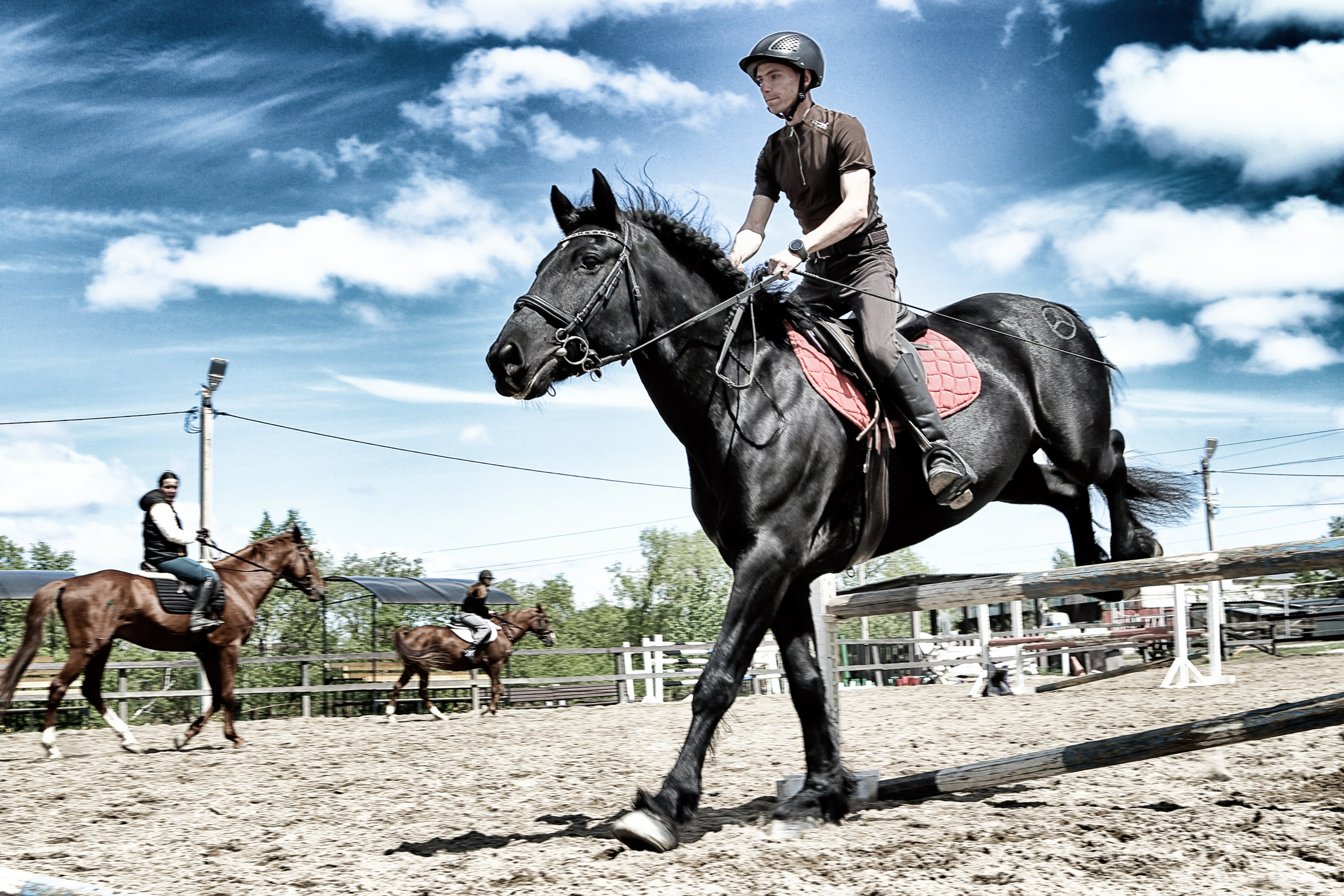 Лошади «Каскад» и «Брилиант». Алиса Томшина — Фотограф / Видеограф