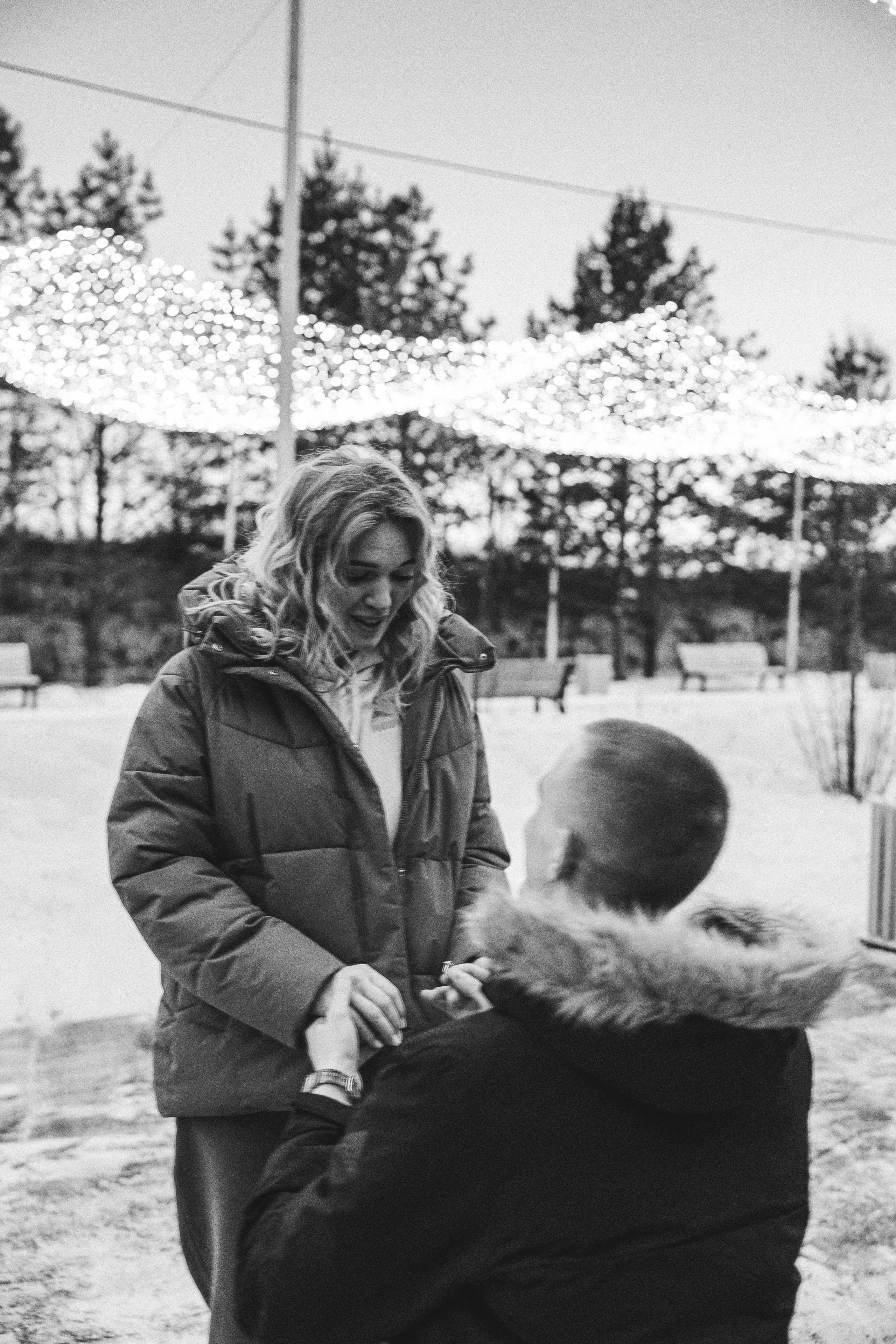 Предложение. Главная