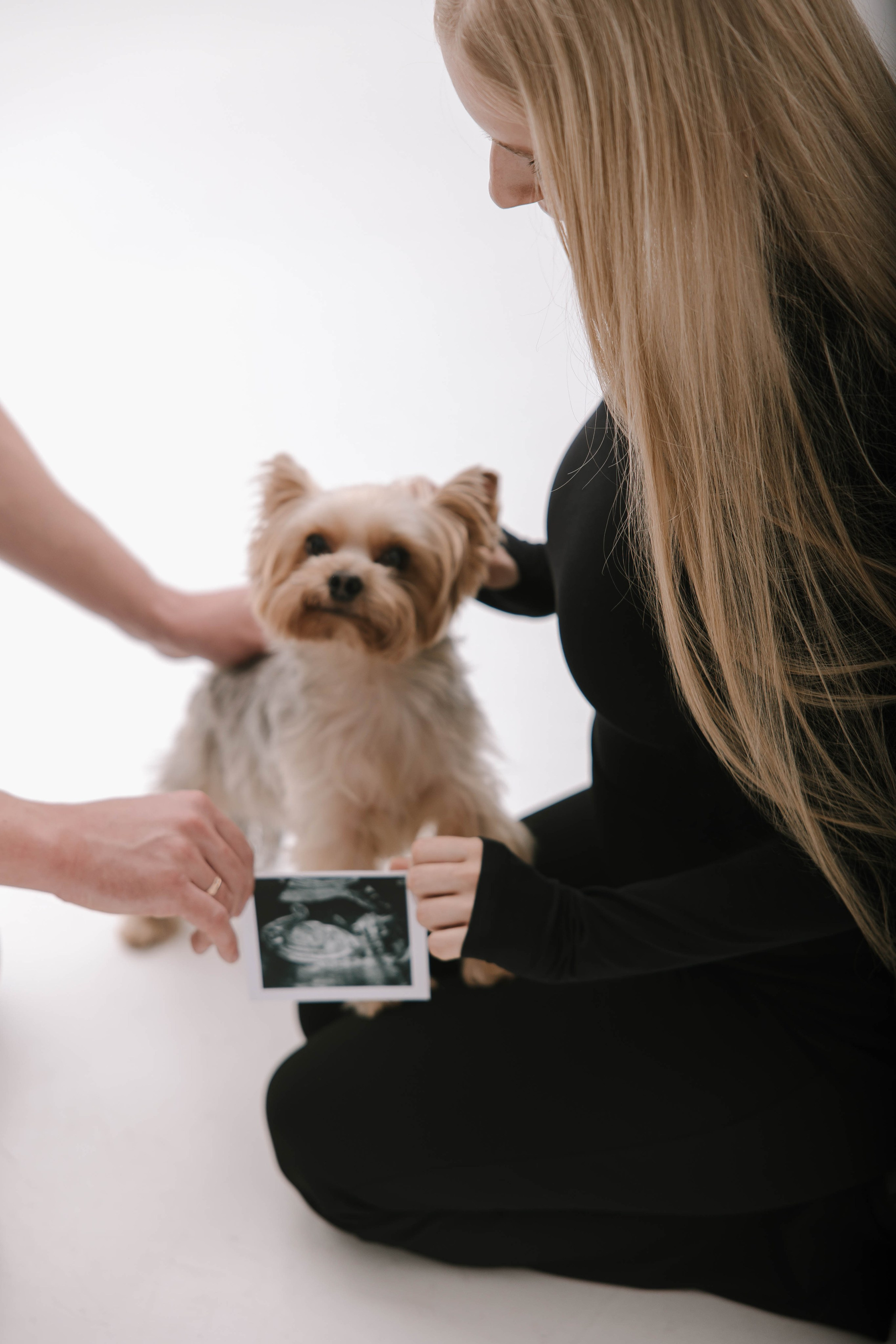 Ефим и Даша. Главная