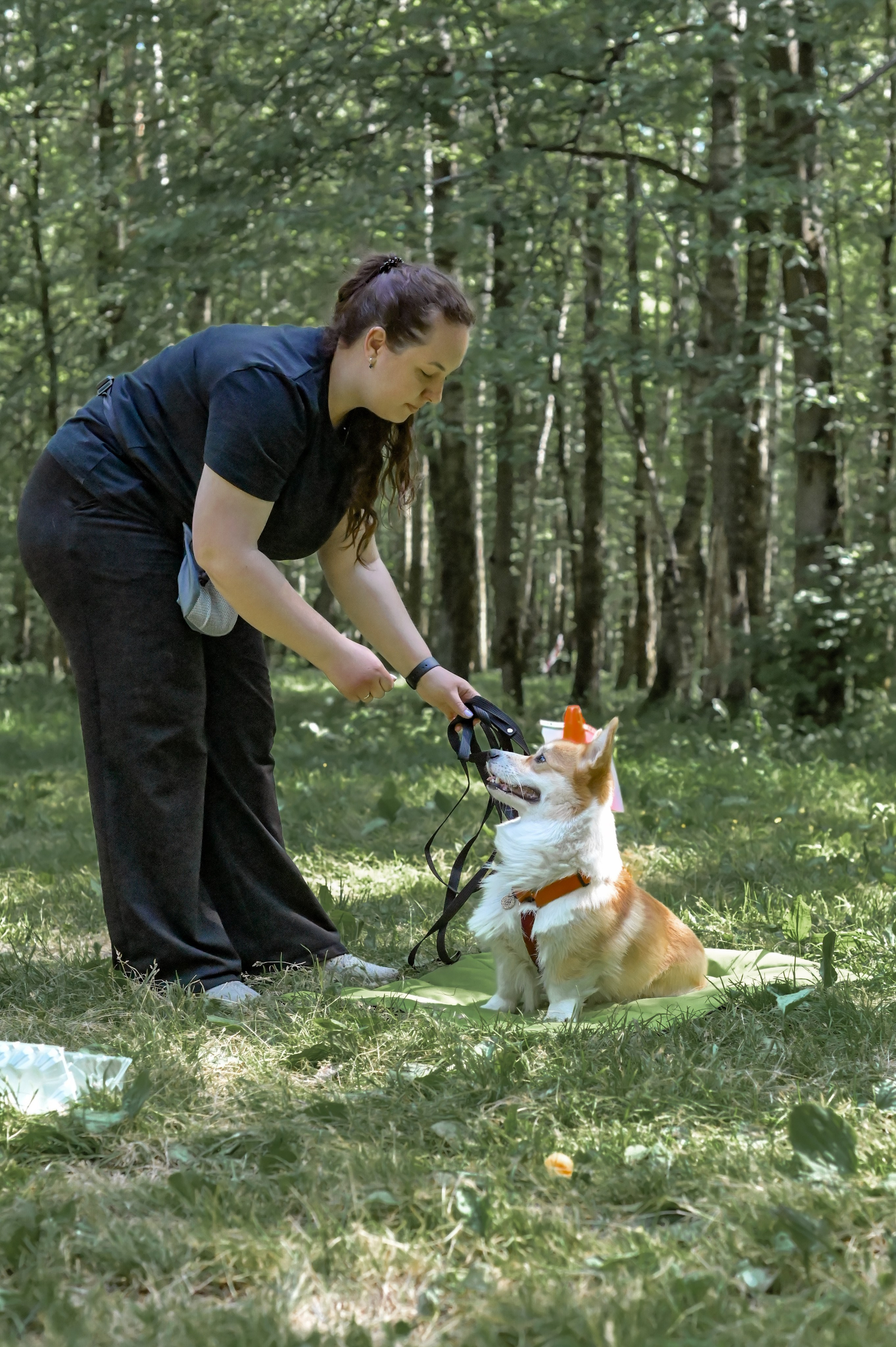 Кинологические соревнования. Семейный и репортажный фотограф в Москве Анастасия Трубкина