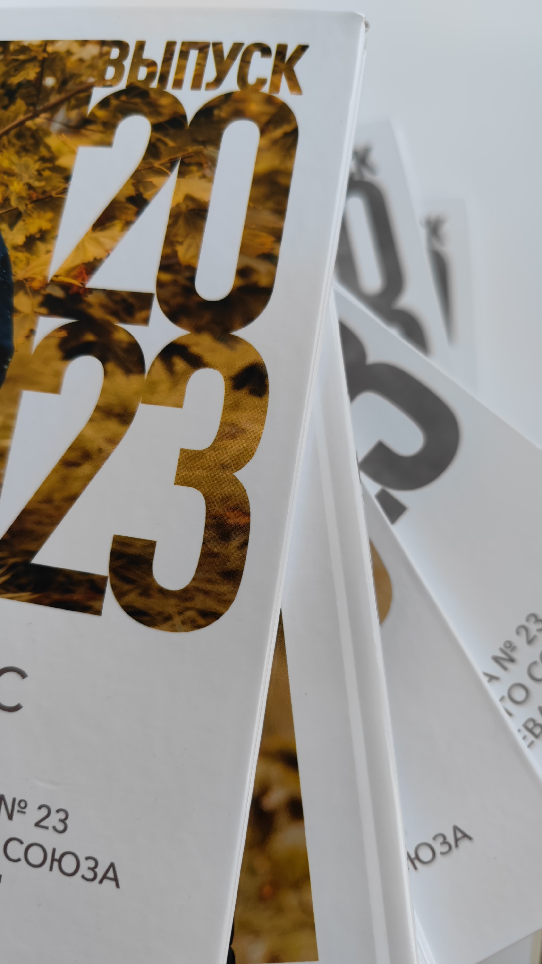 Классика 3. Ольга Плаксина фотограф в Саратове