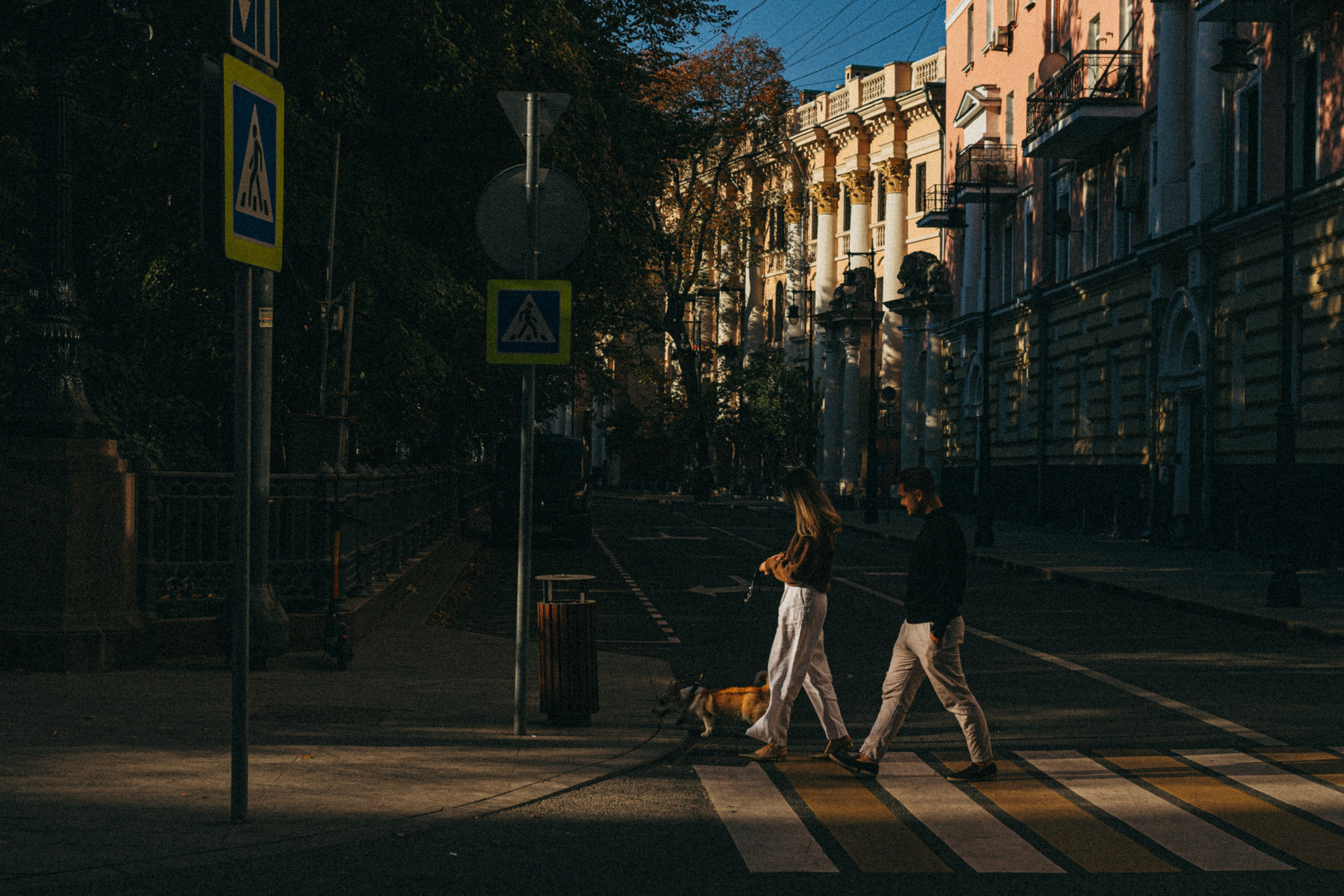 Даша, Рома и Лесли. Фотораф — анималист Мария Шистка
